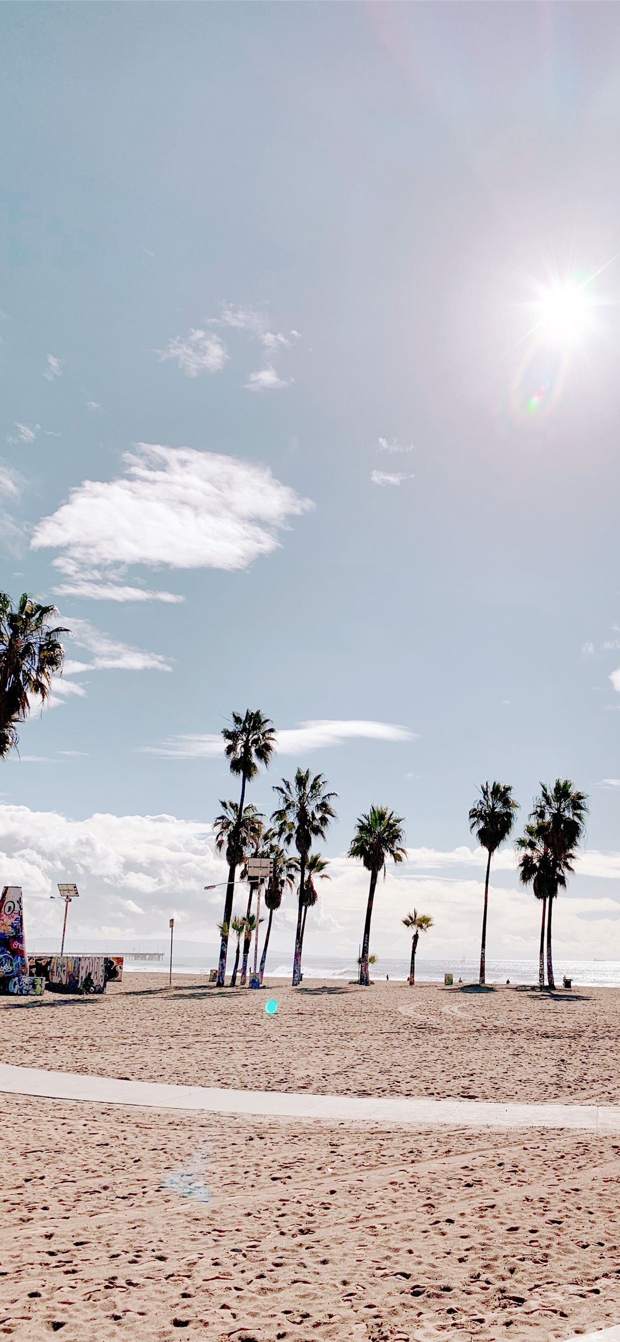 Los Angeles Palm Trees Wallpapers