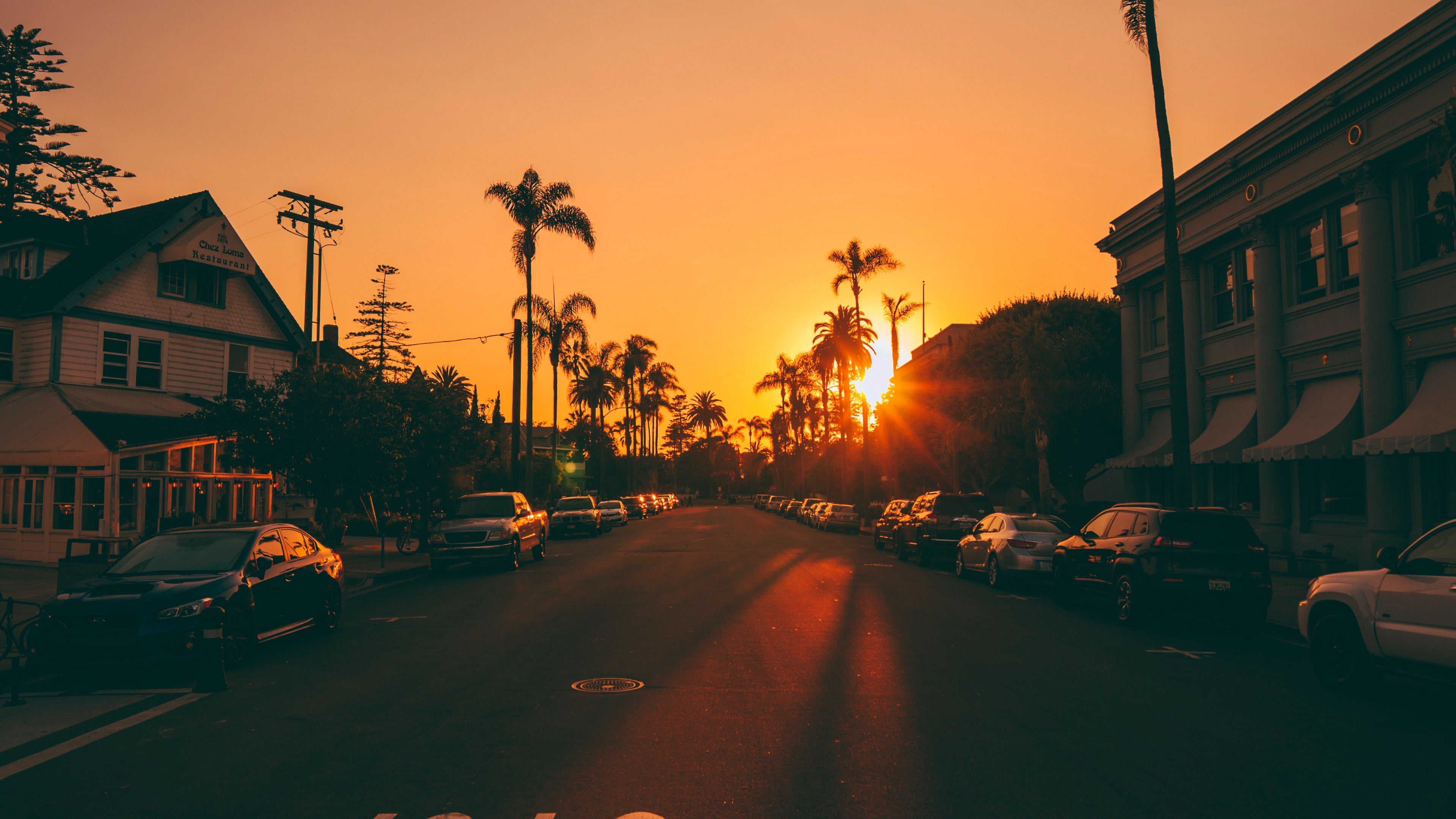 Los Angeles Palm Trees Wallpapers