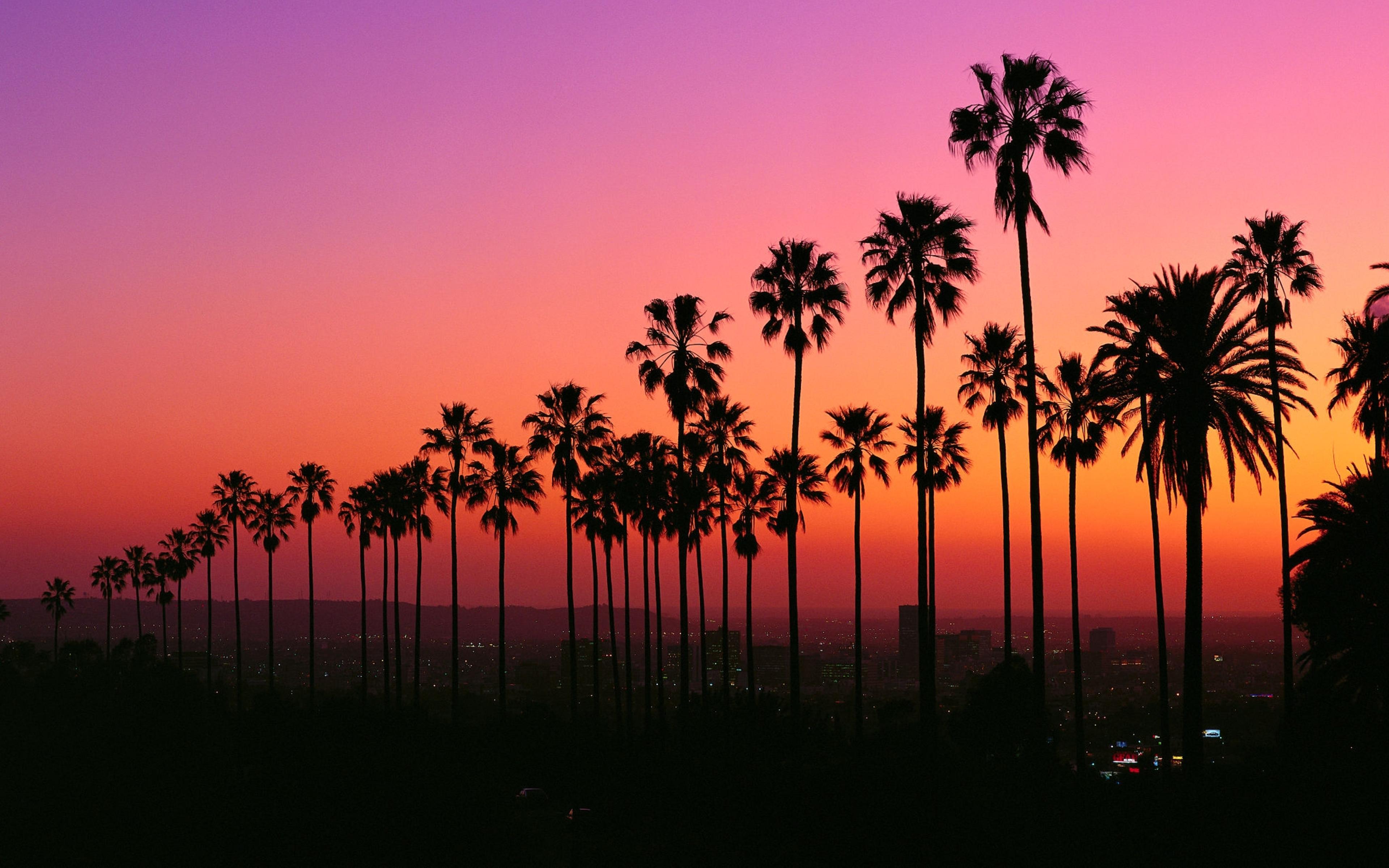 Los Angeles Sunset Wallpapers