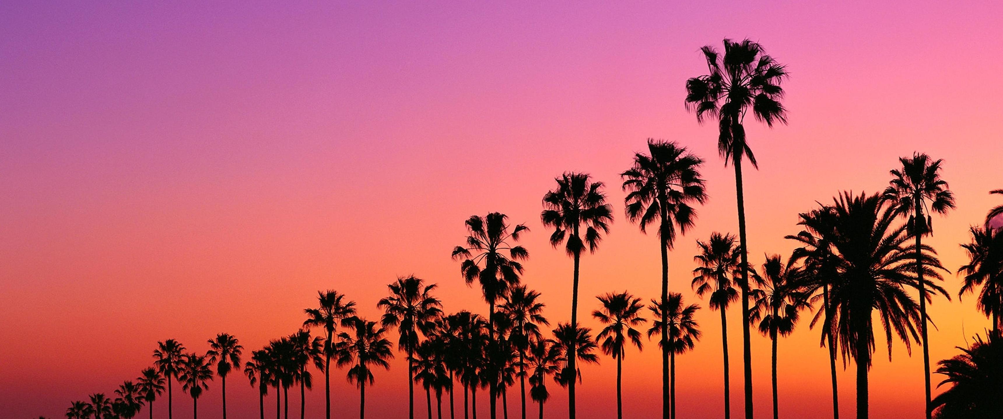 Los Angeles Sunset Wallpapers