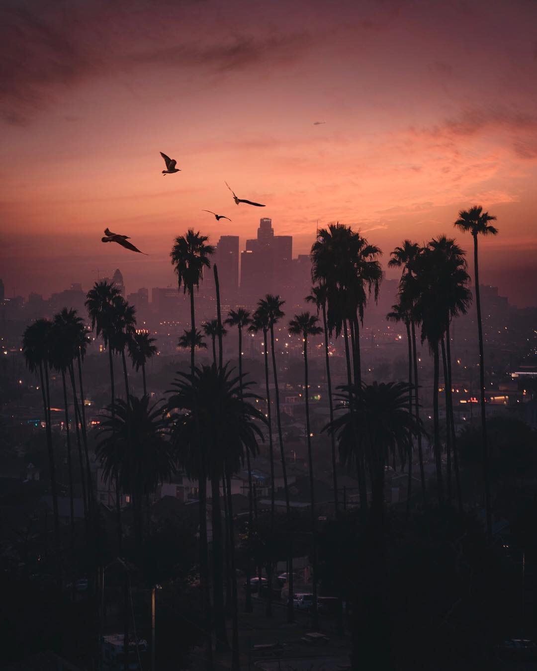 Los Angeles Sunset Wallpapers