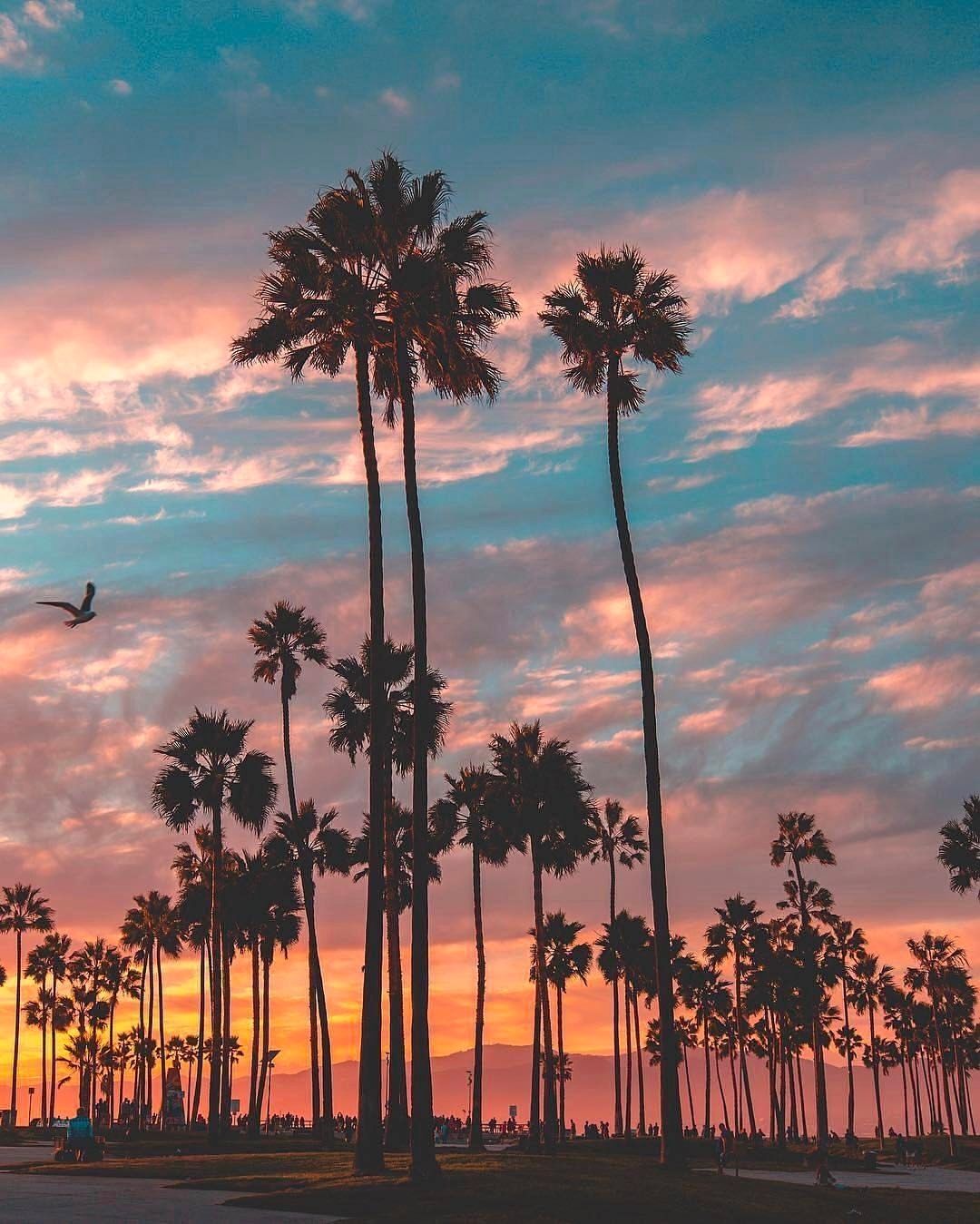 Los Angeles Sunset Wallpapers