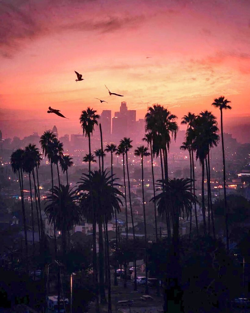 Los Angeles Sunset Wallpapers