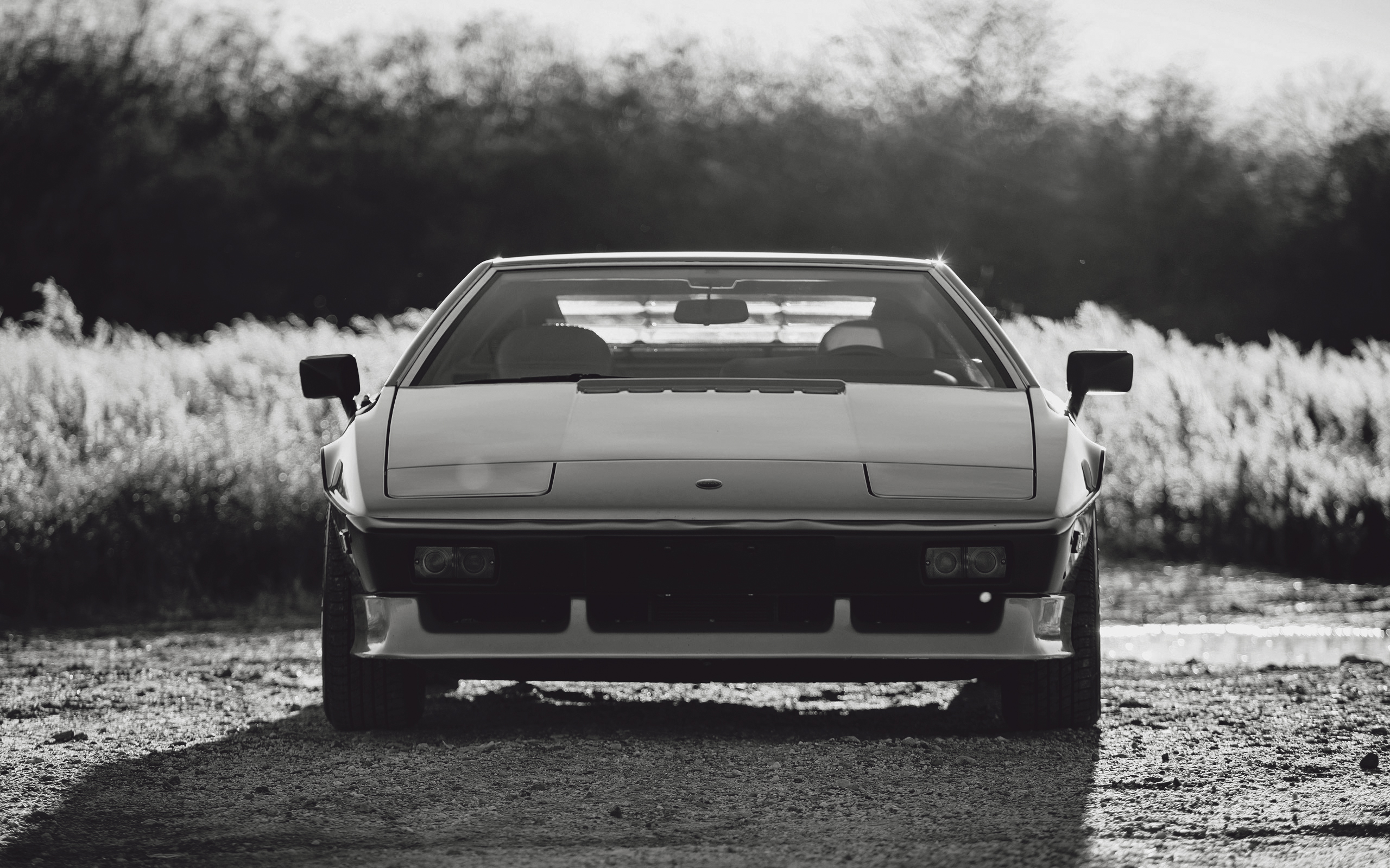 Lotus Esprit Wallpapers