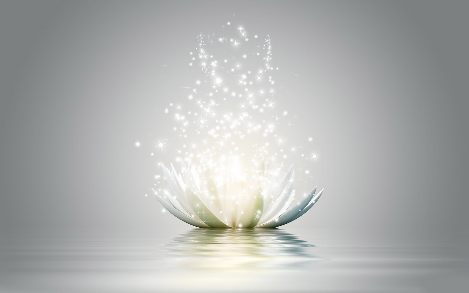 Lotus Flower Wallpapers