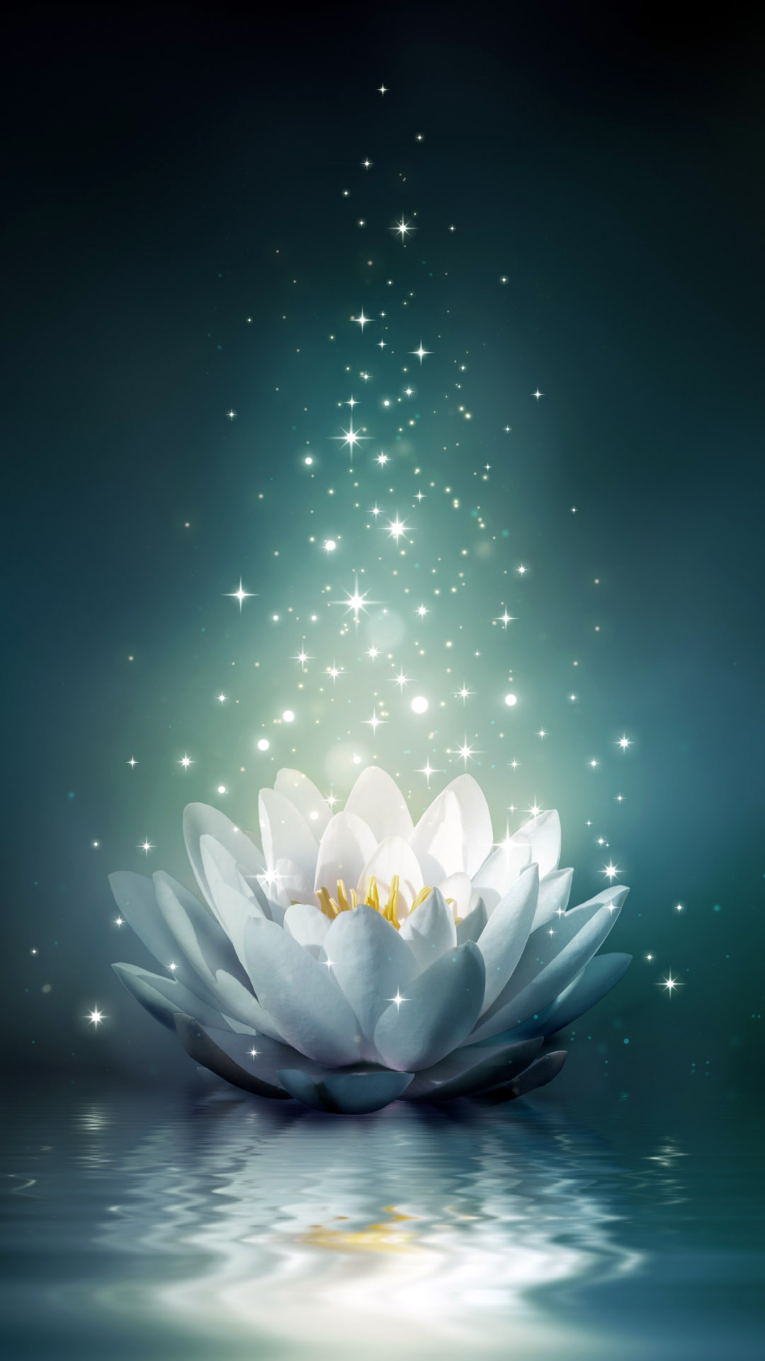 Lotus Flower Wallpapers