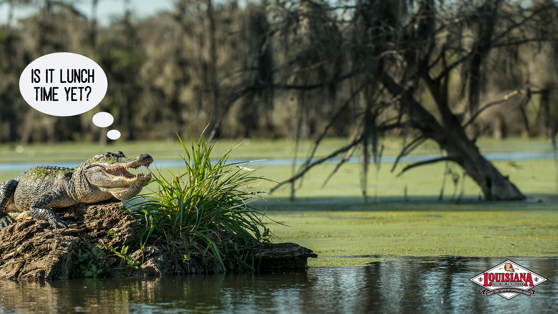 Louisiana Backgrounds