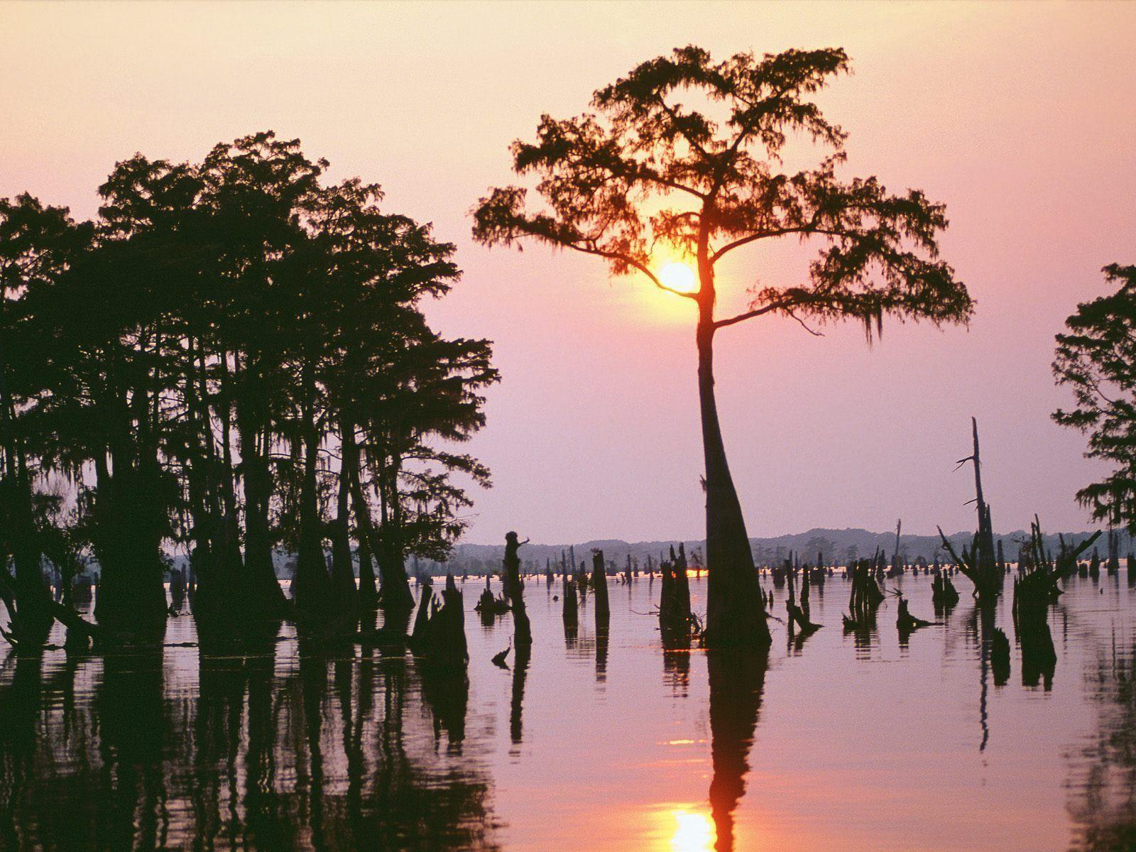 Louisiana Backgrounds