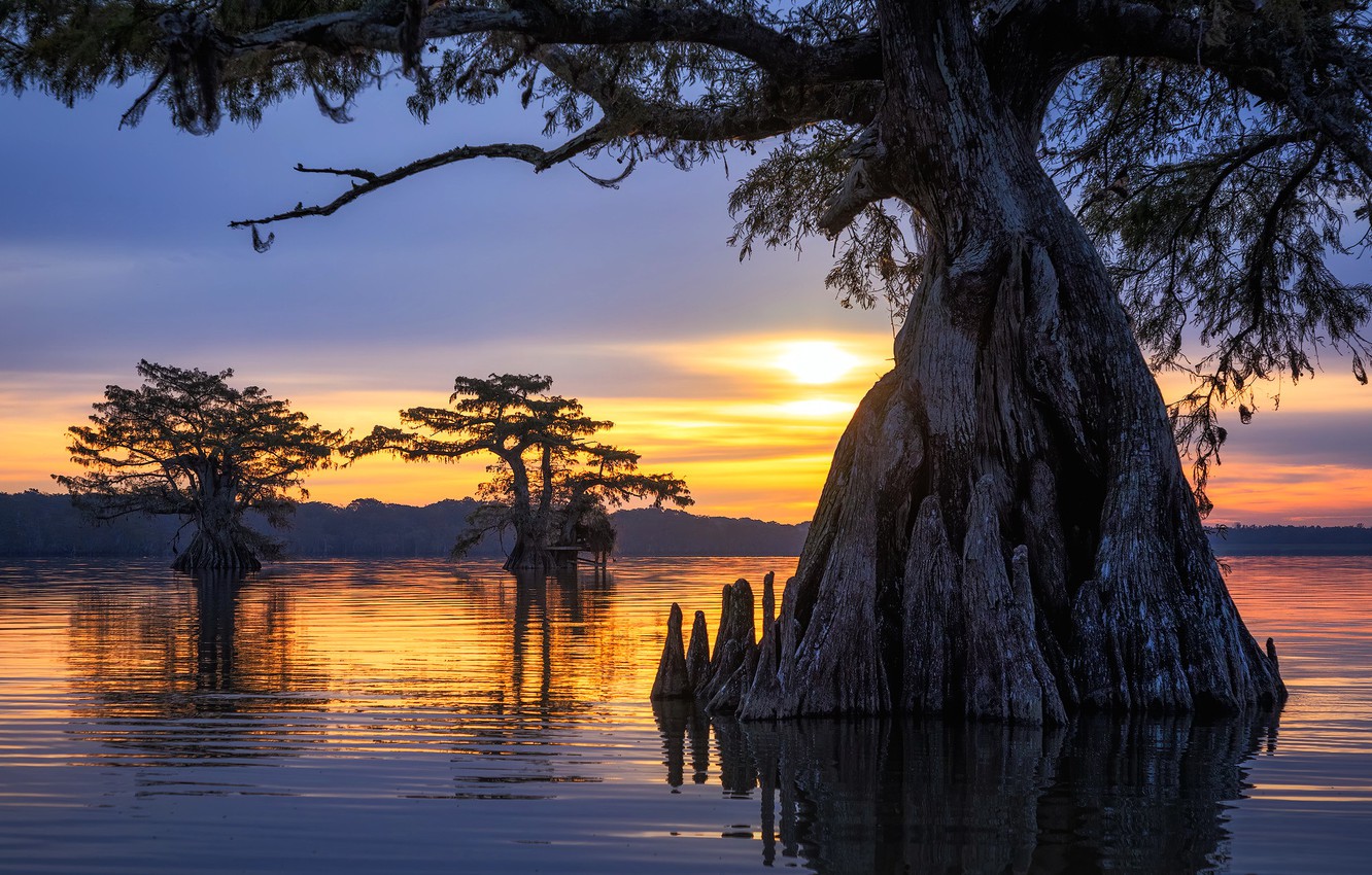 Louisiana Backgrounds