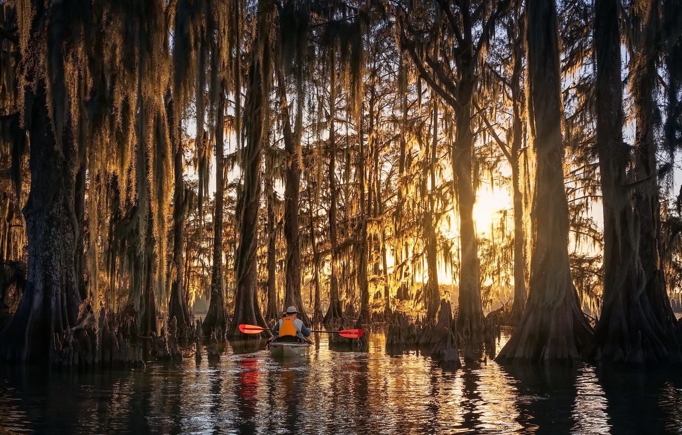 Louisiana Backgrounds