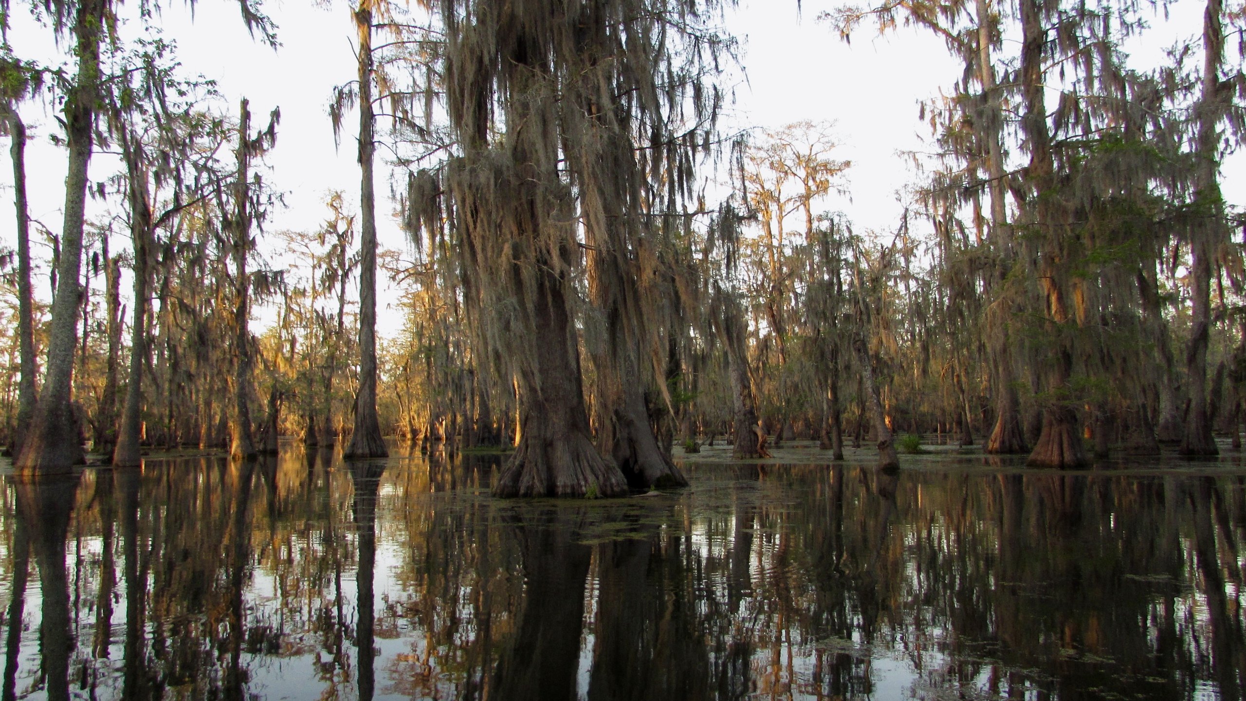 Louisiana Backgrounds