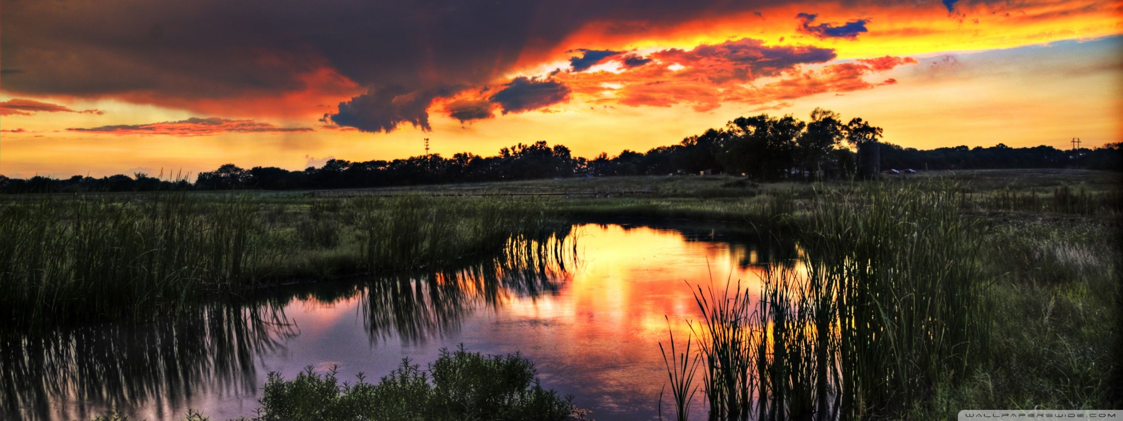 Louisiana Backgrounds