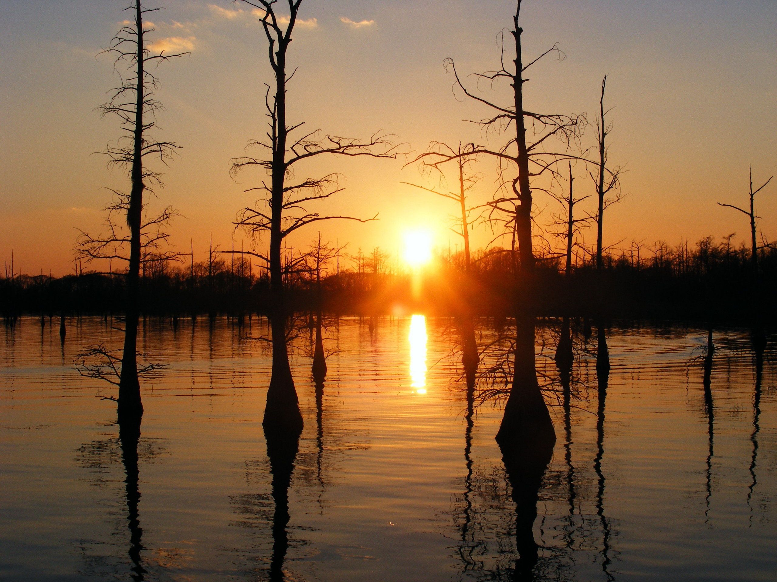 Louisiana Backgrounds