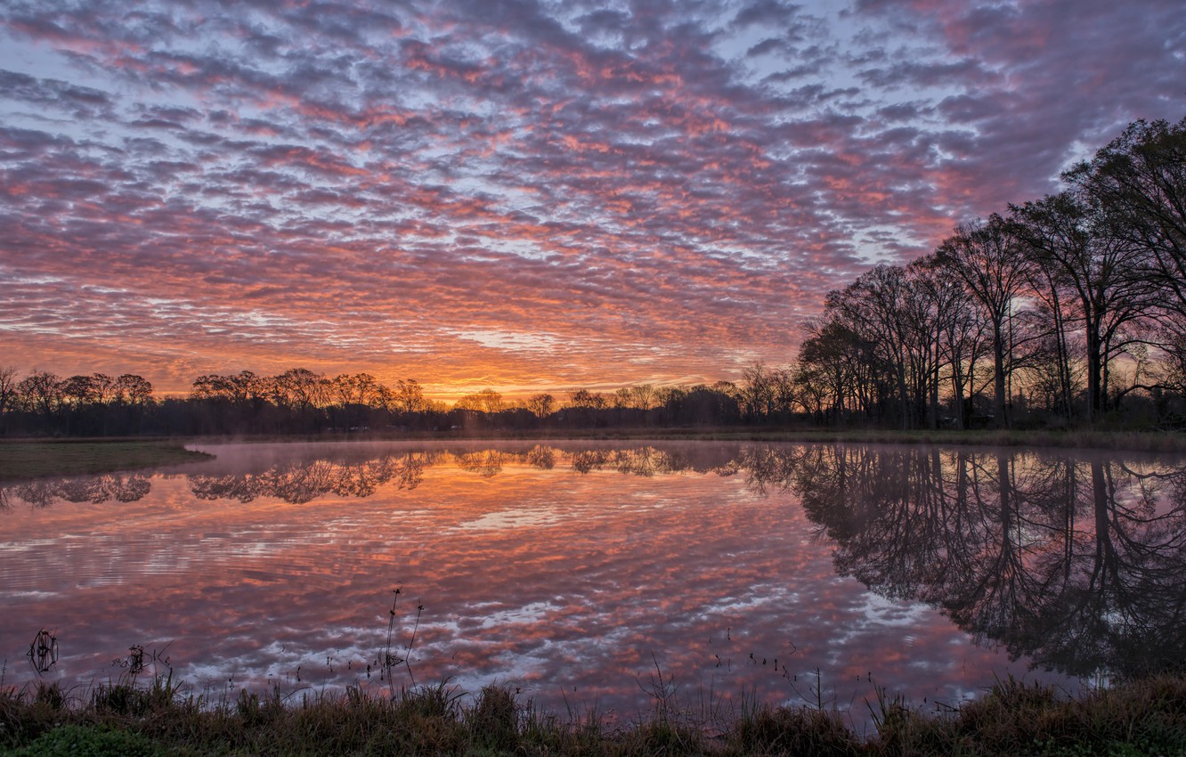 Louisiana Backgrounds