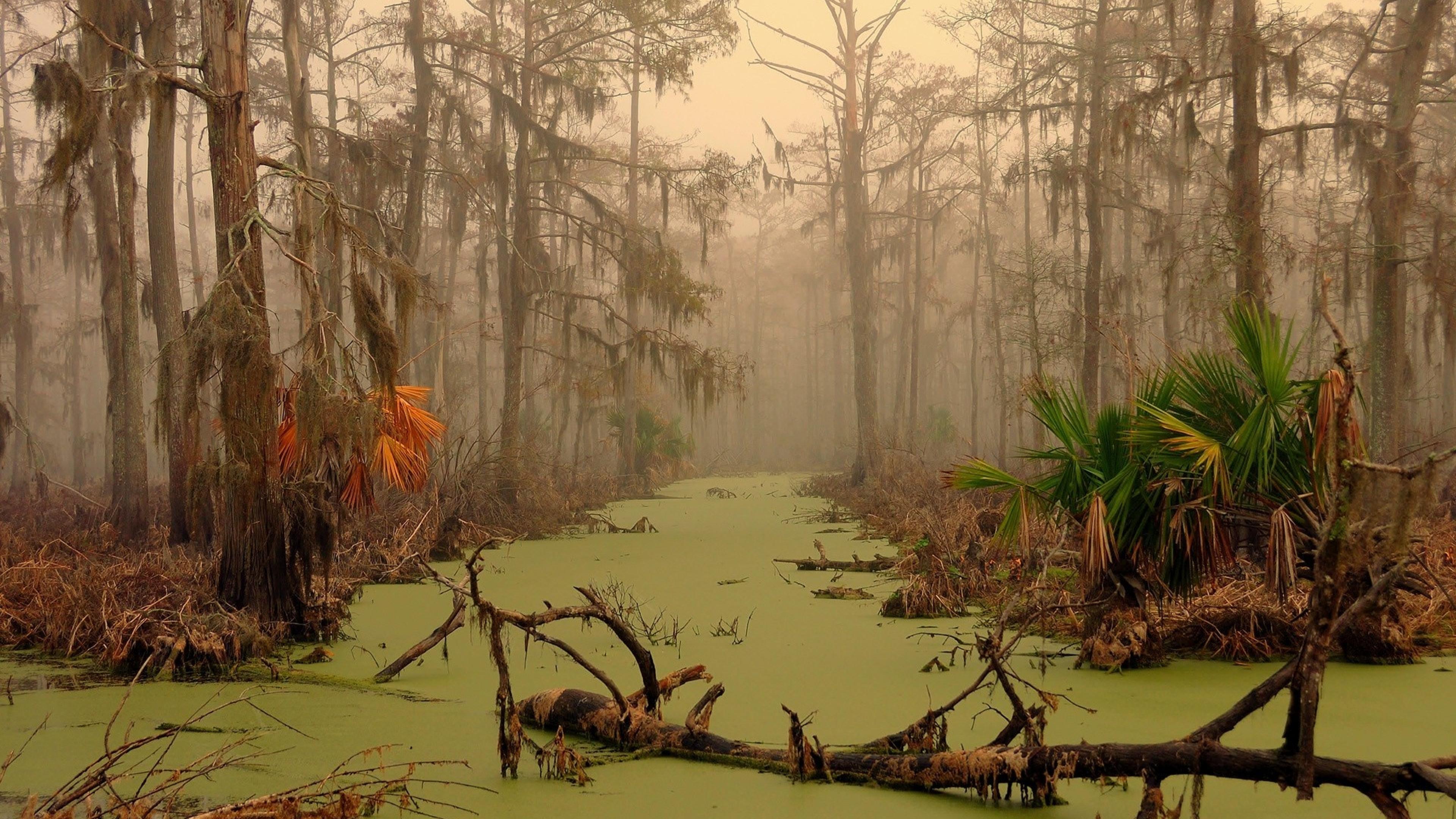 Louisiana Backgrounds