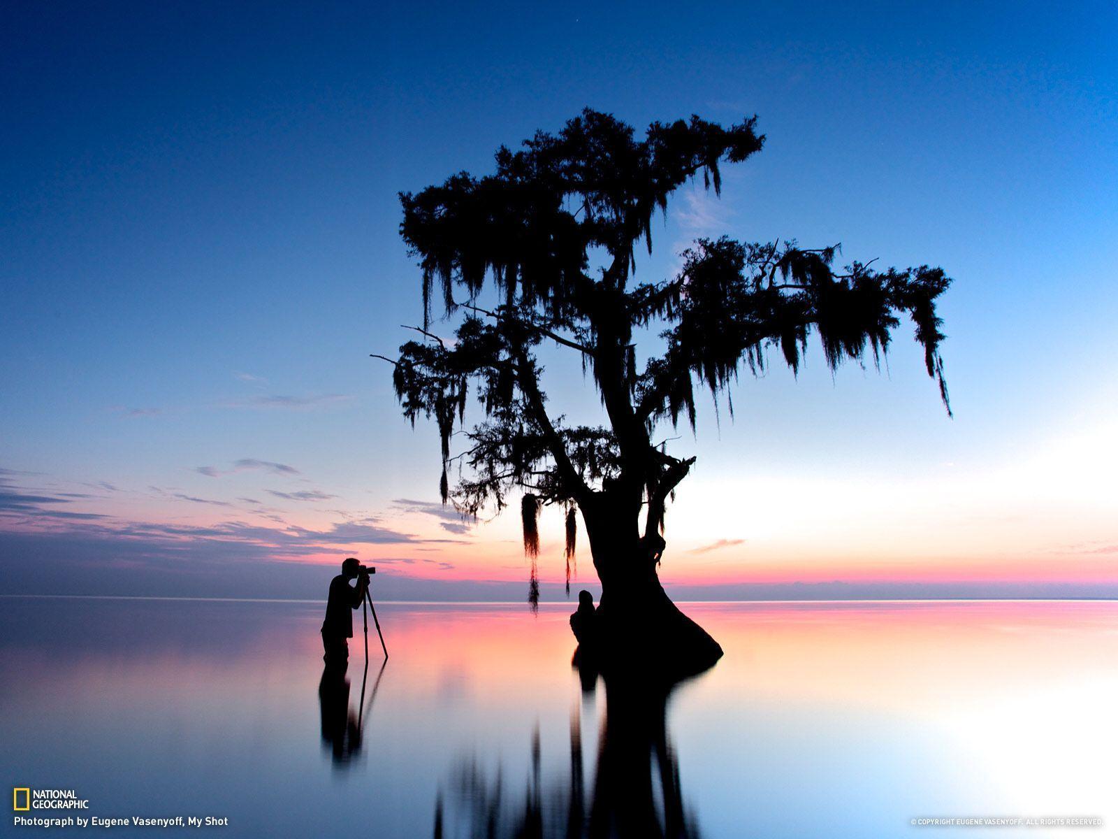 Louisiana Backgrounds