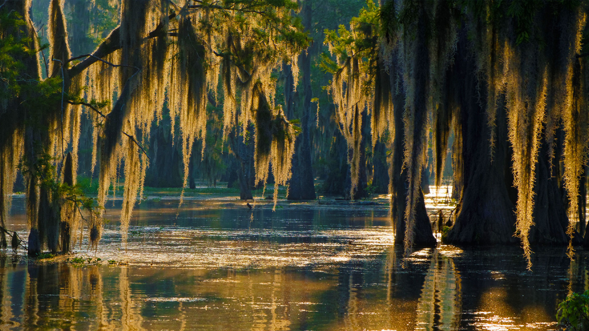 Louisiana Wallpapers