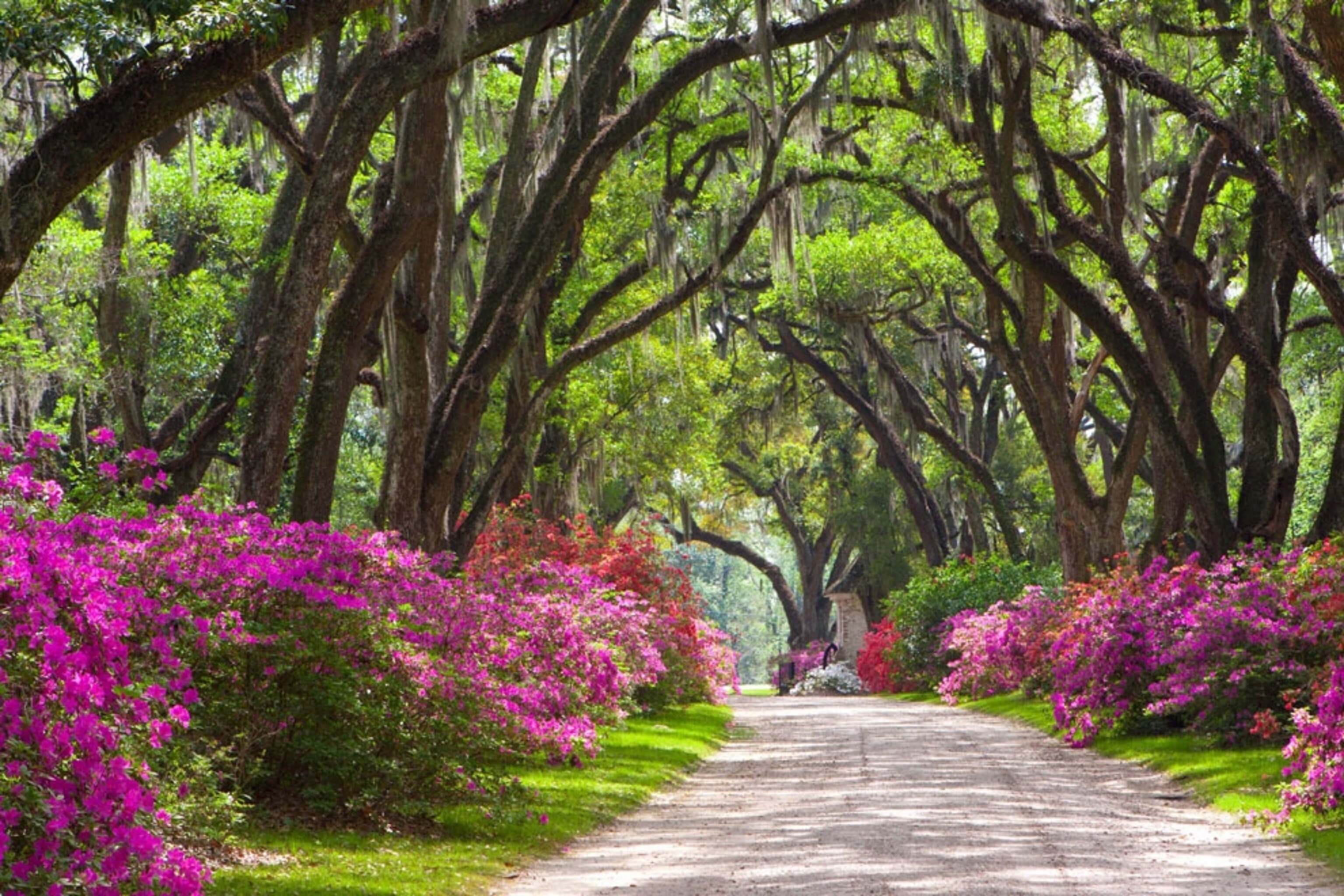 Louisiana Wallpapers