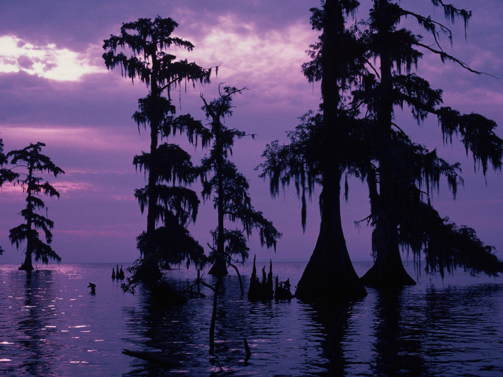 Louisiana Wallpapers