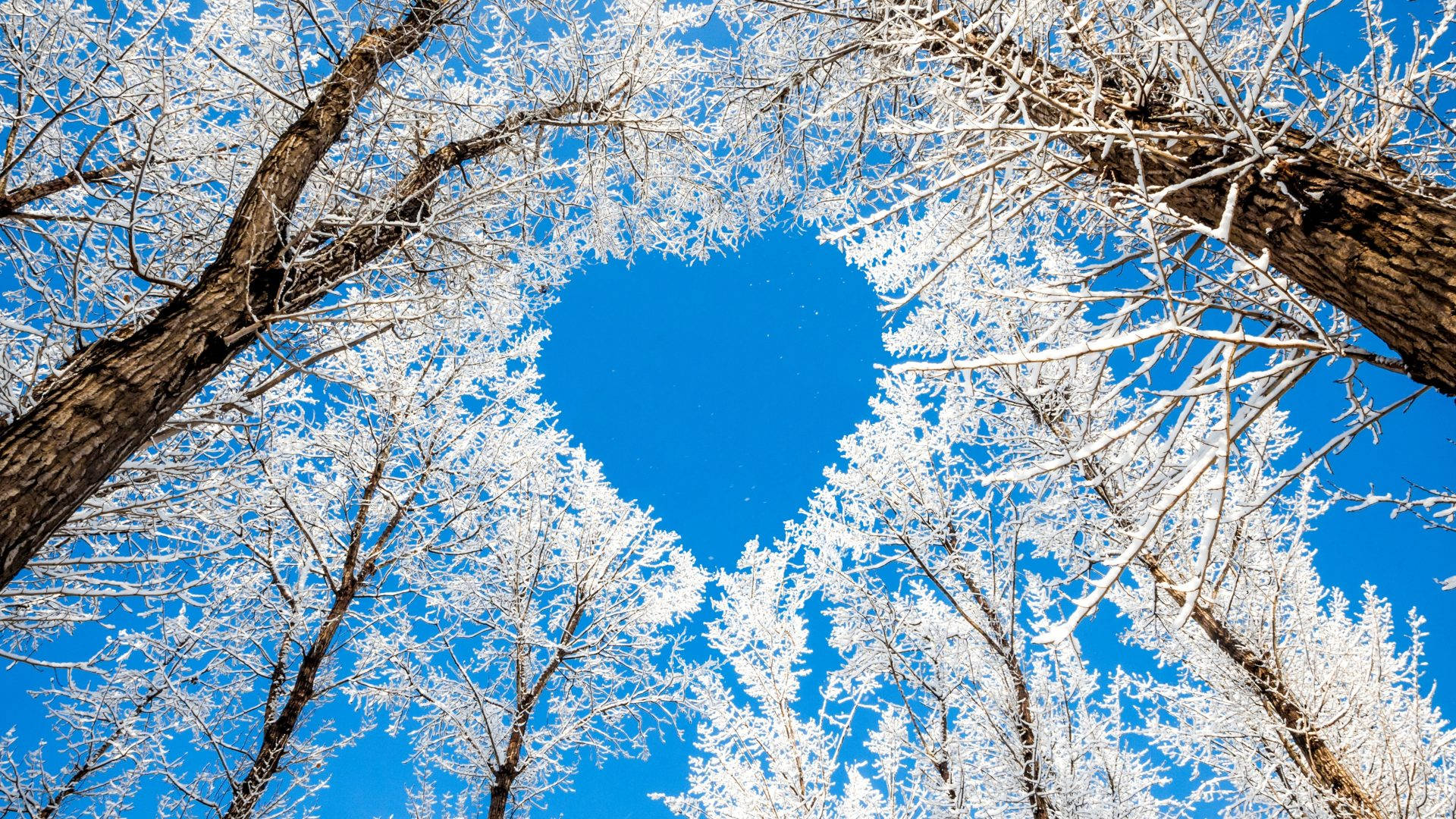 Love And Nature Wallpapers