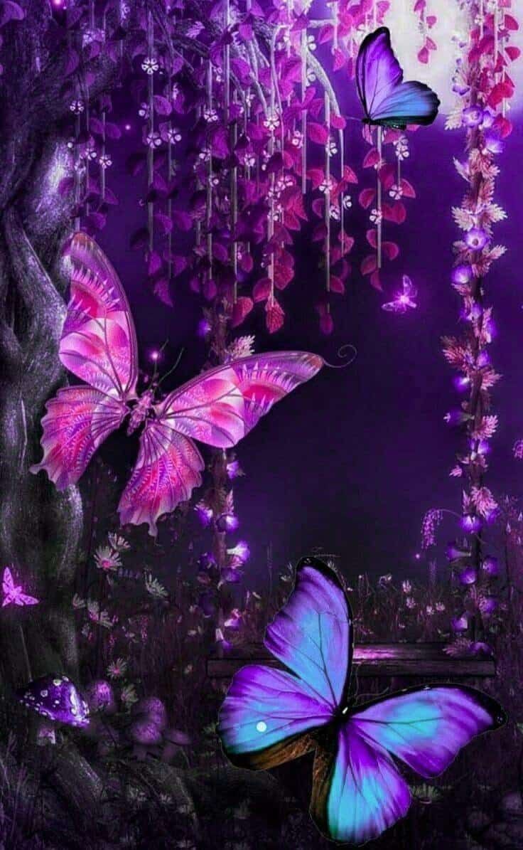 Love Butterfly Hd Wallpapers