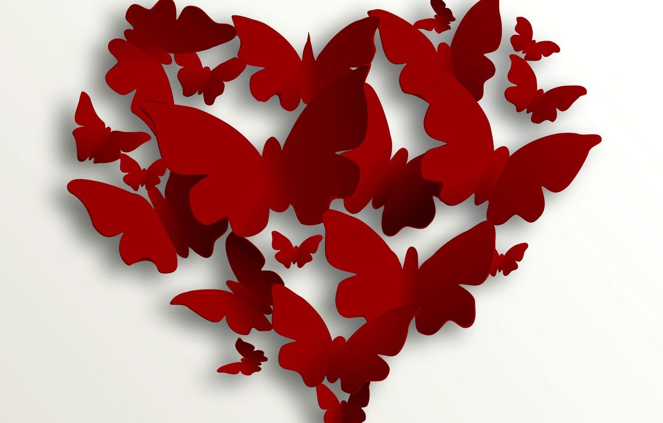 Love Butterfly Hd Wallpapers