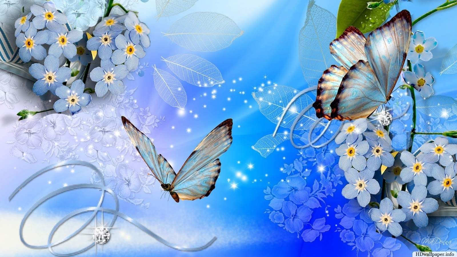 Love Butterfly Hd Wallpapers