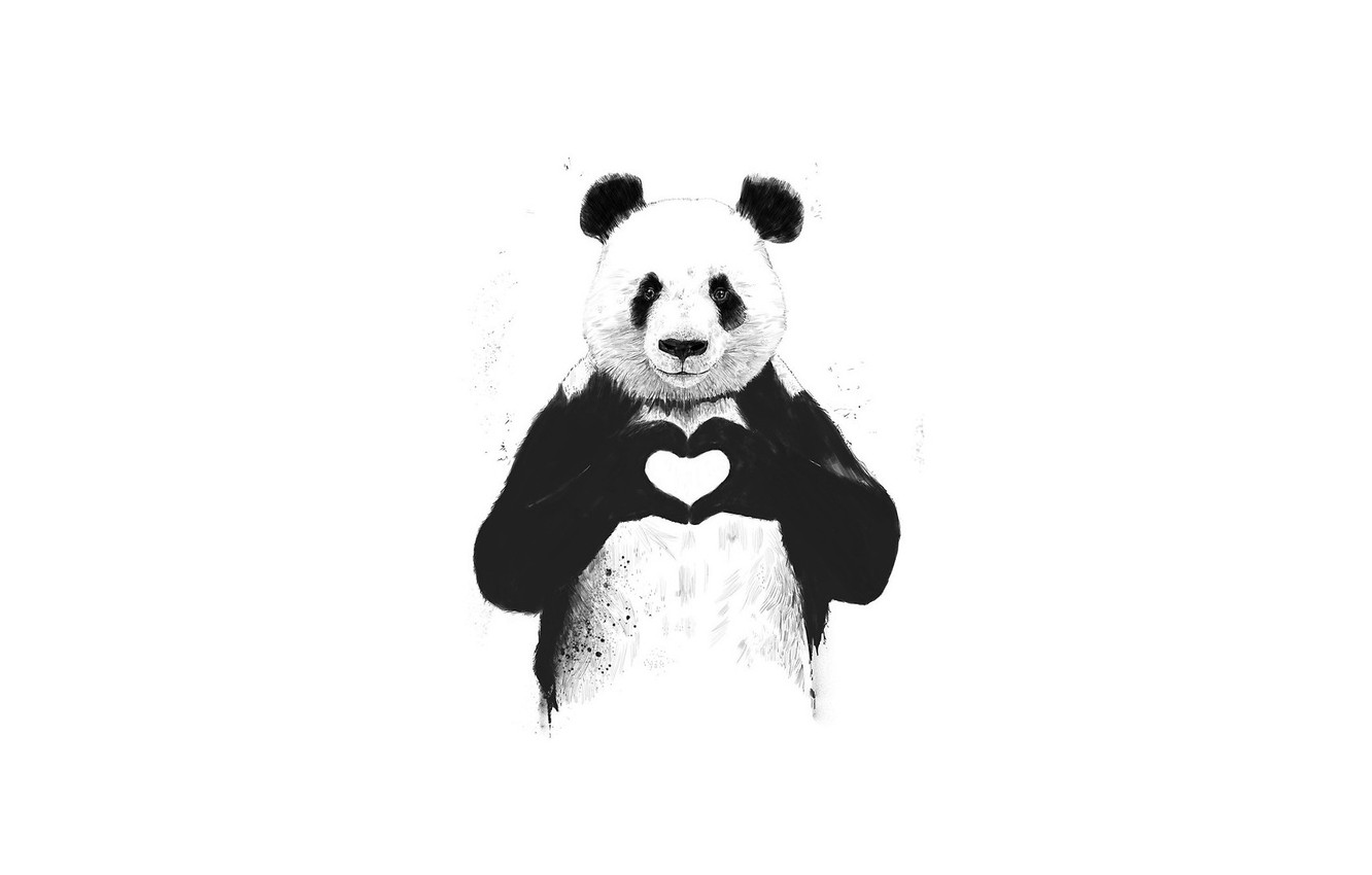 Love Panda Images Wallpapers