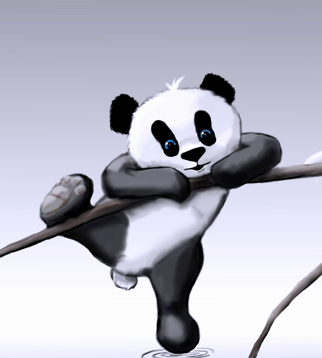 Love Panda Images Wallpapers