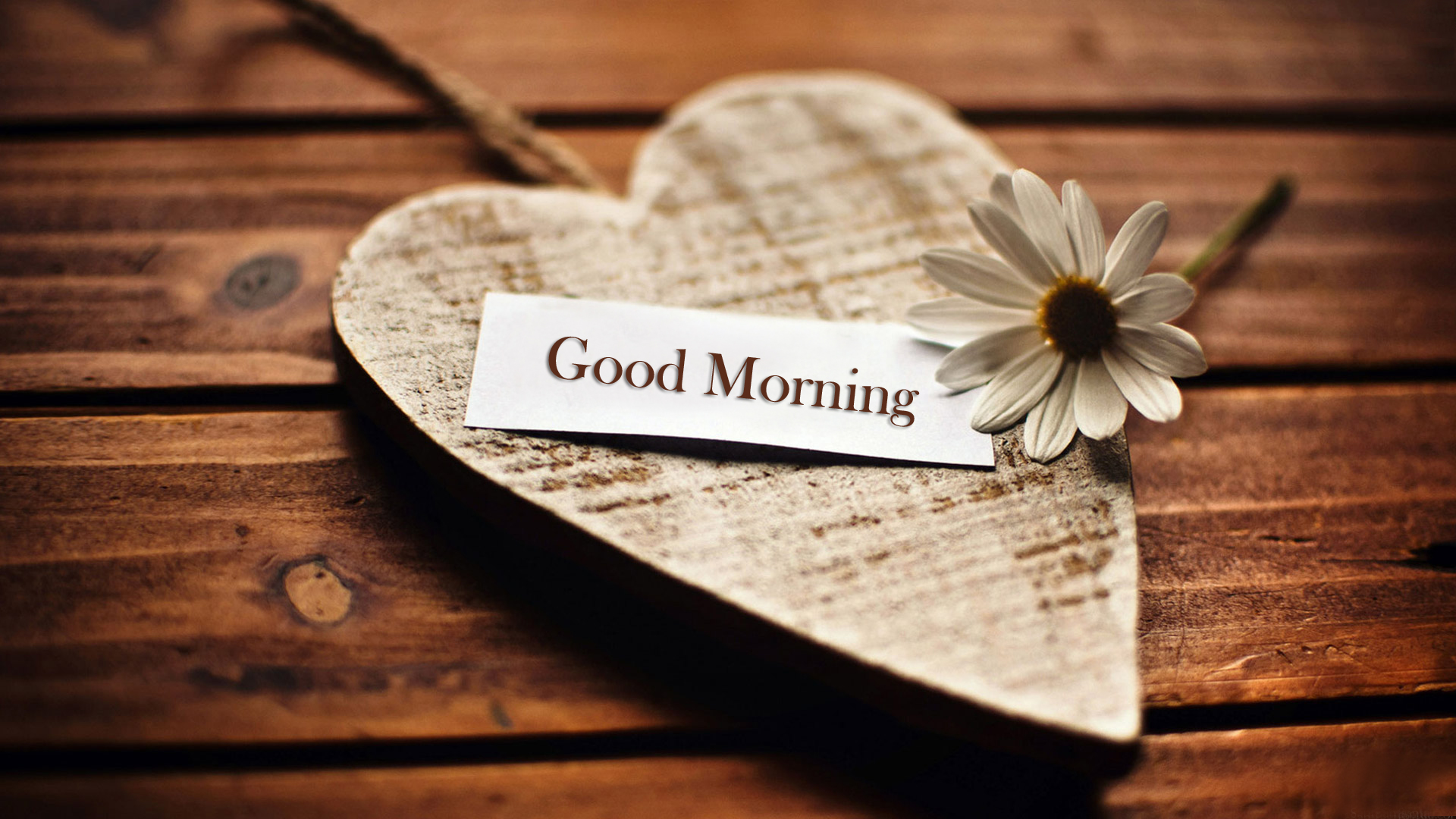 Love Romance Love Good Morning Images Wallpapers