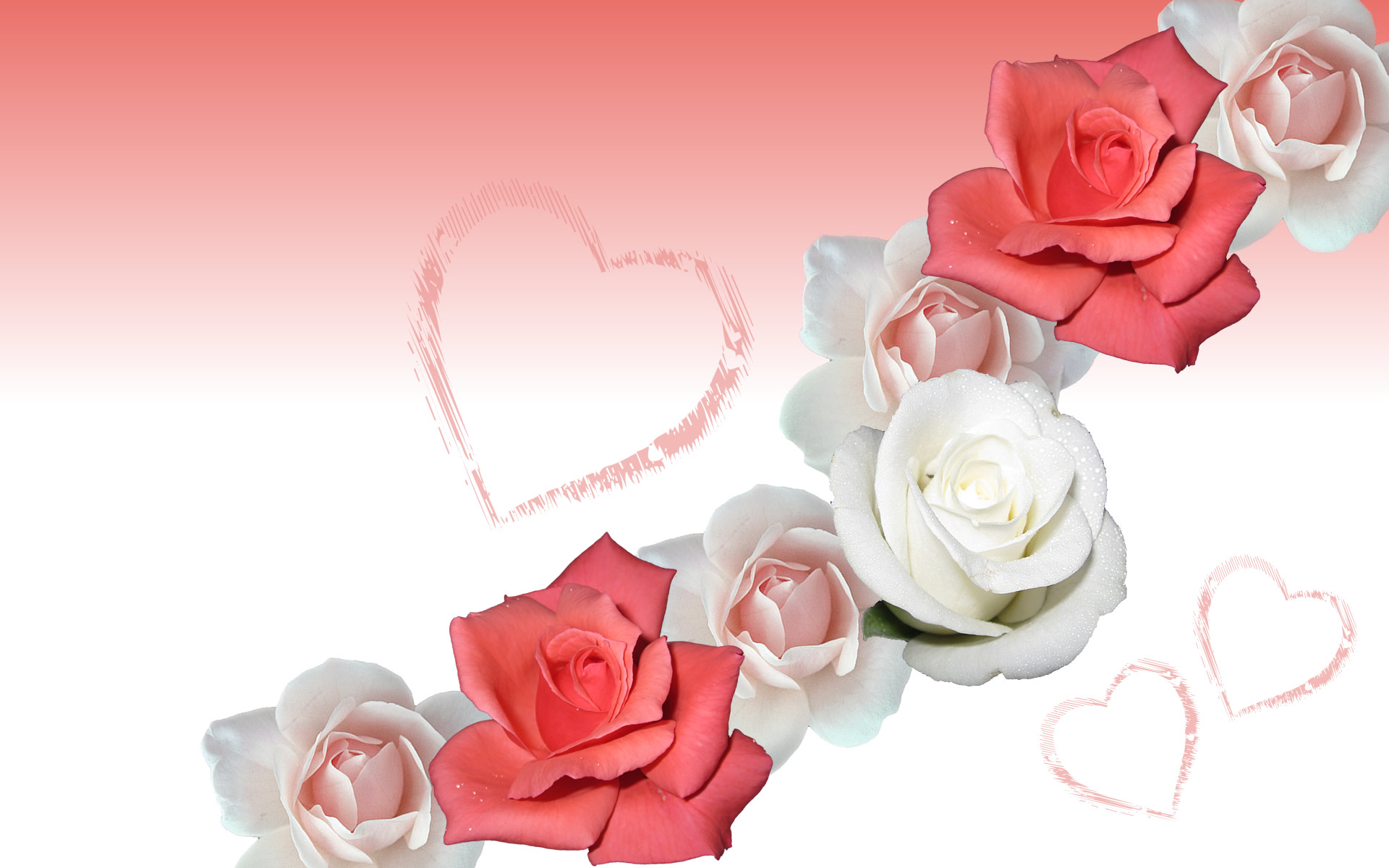 Love Rose Wallpapers