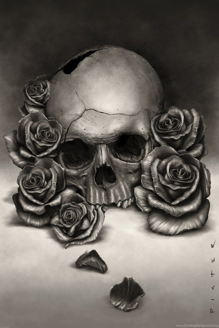 Love Skull And Roses Wallpapers