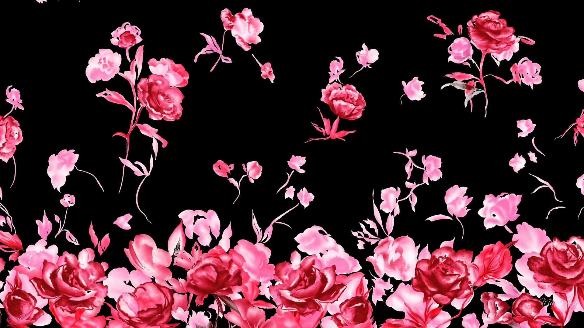 Love Skull And Roses Wallpapers