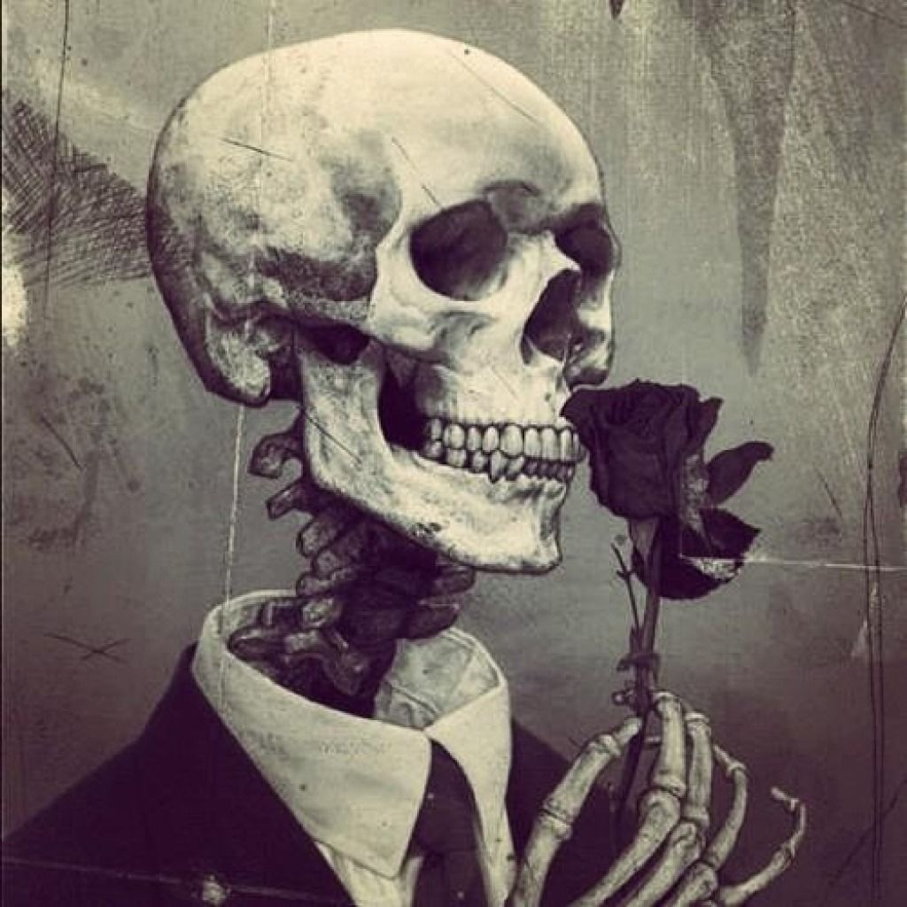 Love Skull And Roses Wallpapers