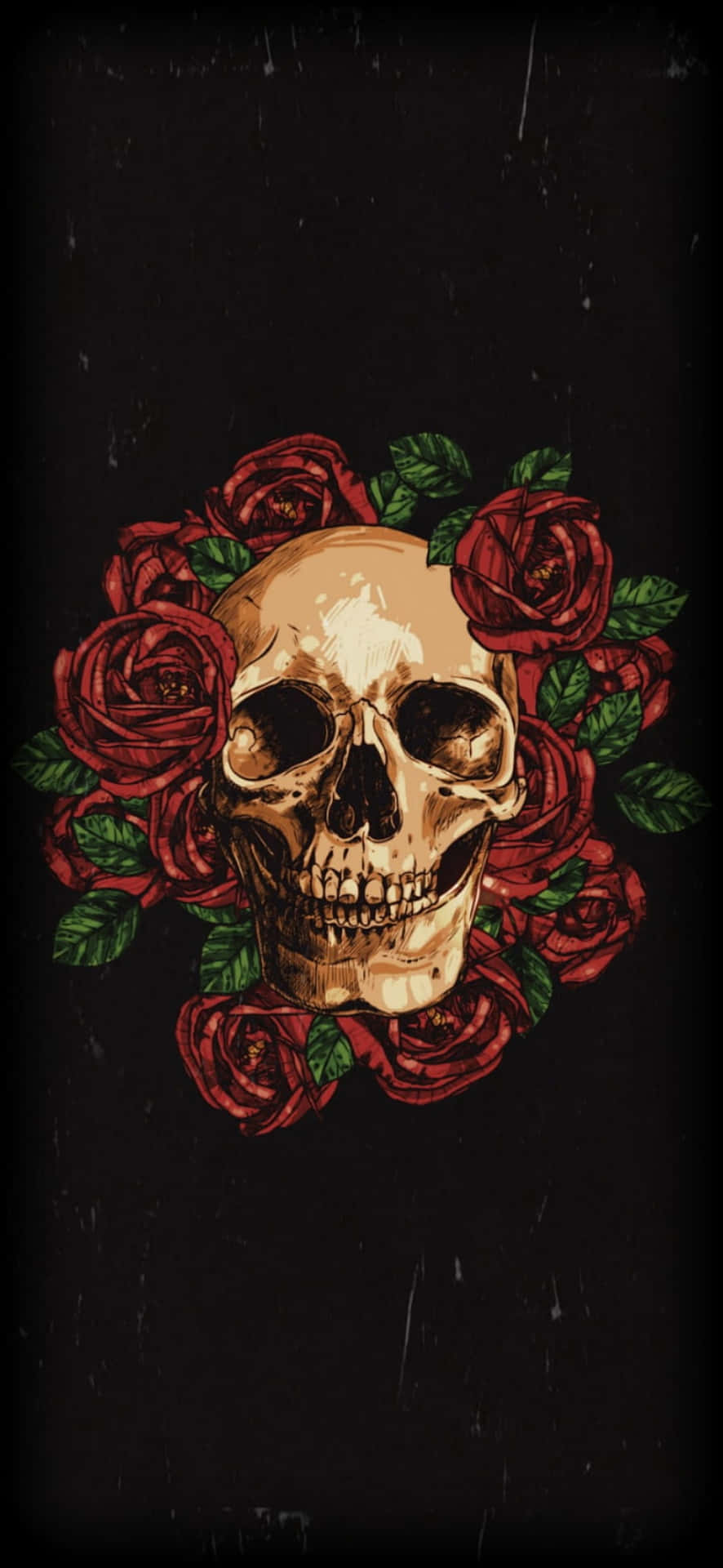 Love Skull And Roses Wallpapers