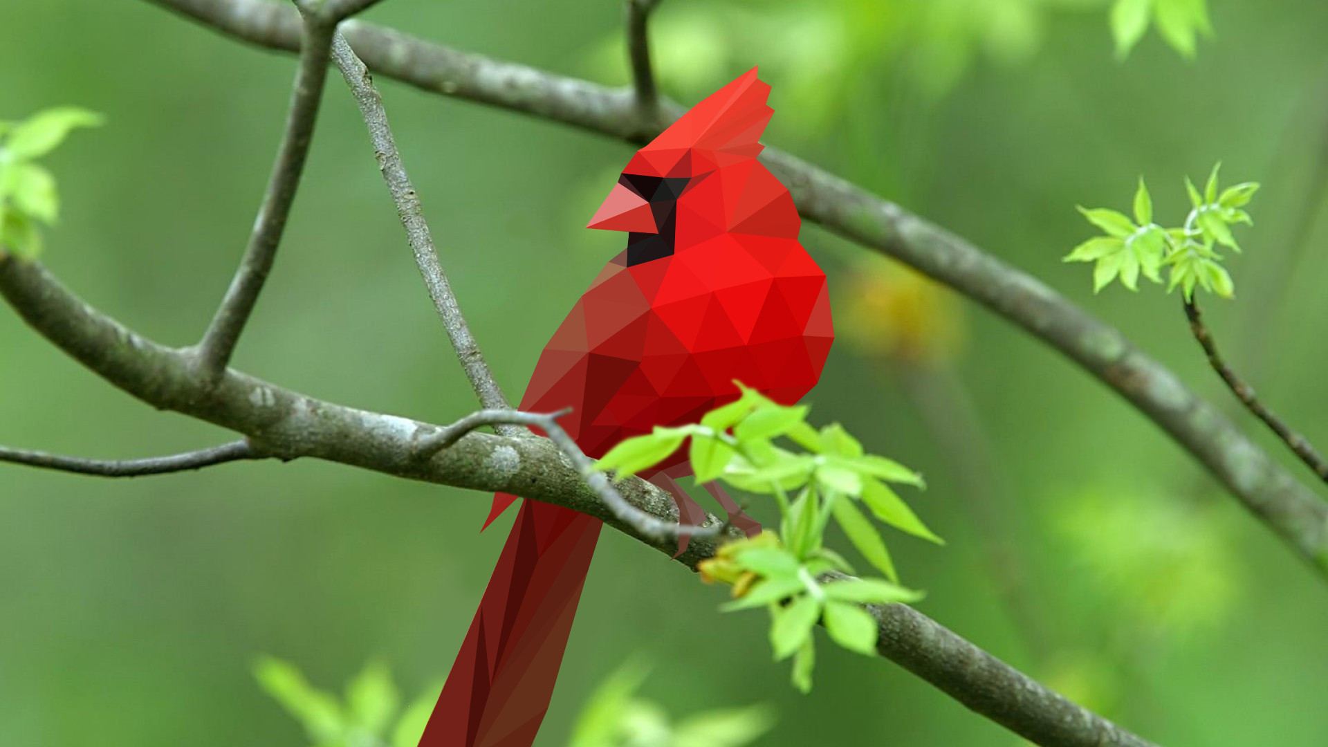 Low Poly Animal Wallpapers