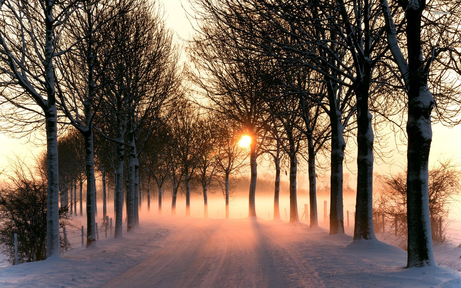 Low Winter Sun Wallpapers