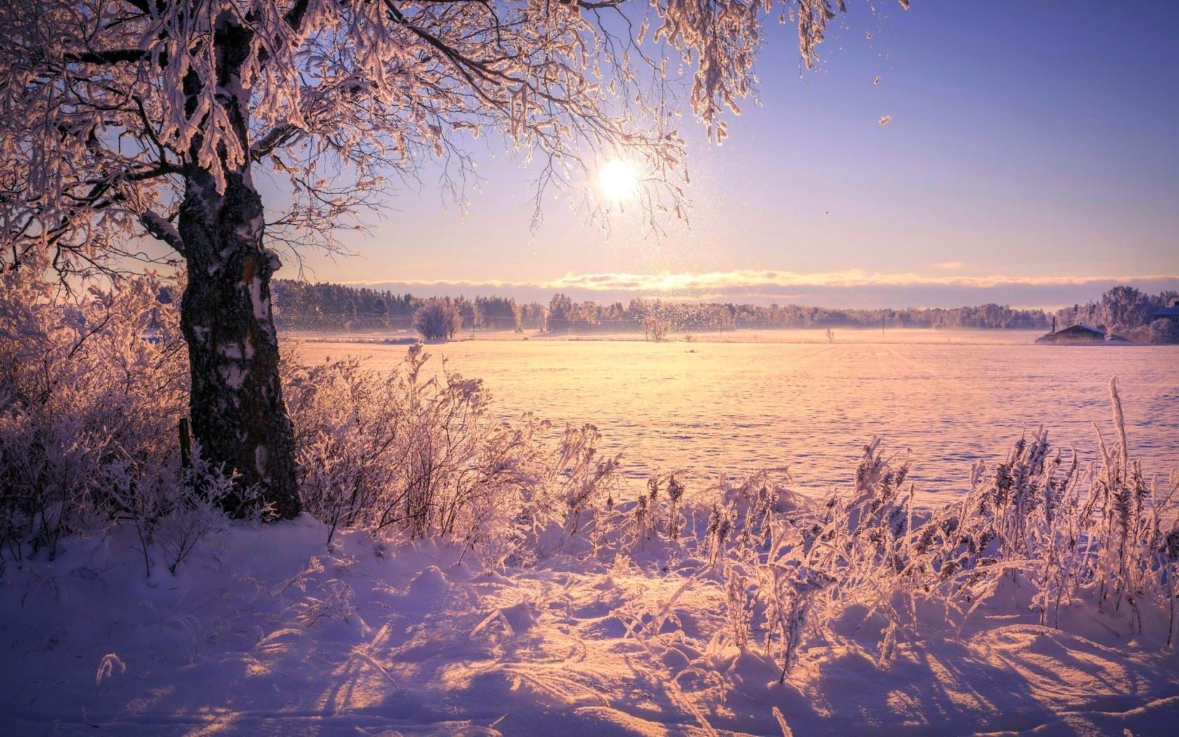 Low Winter Sun Wallpapers