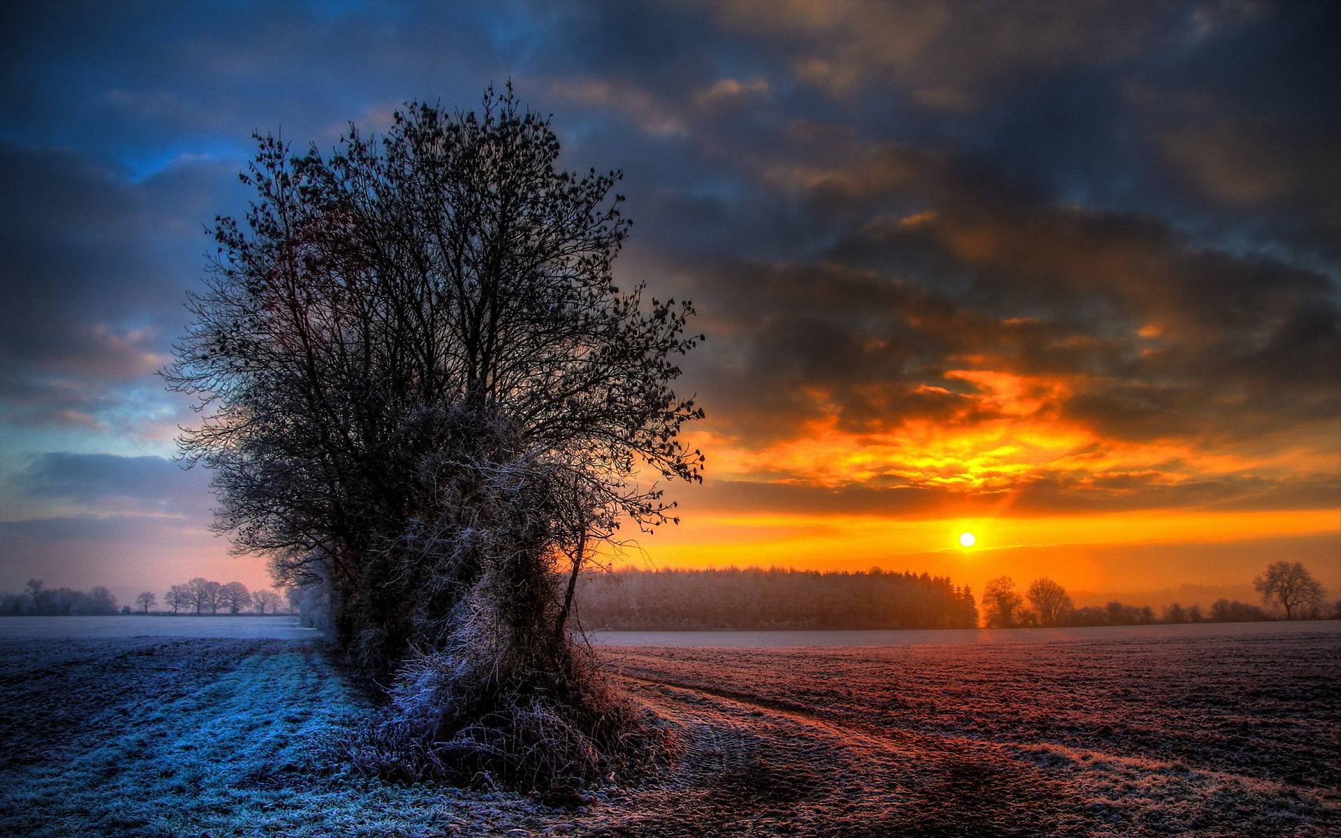 Low Winter Sun Wallpapers