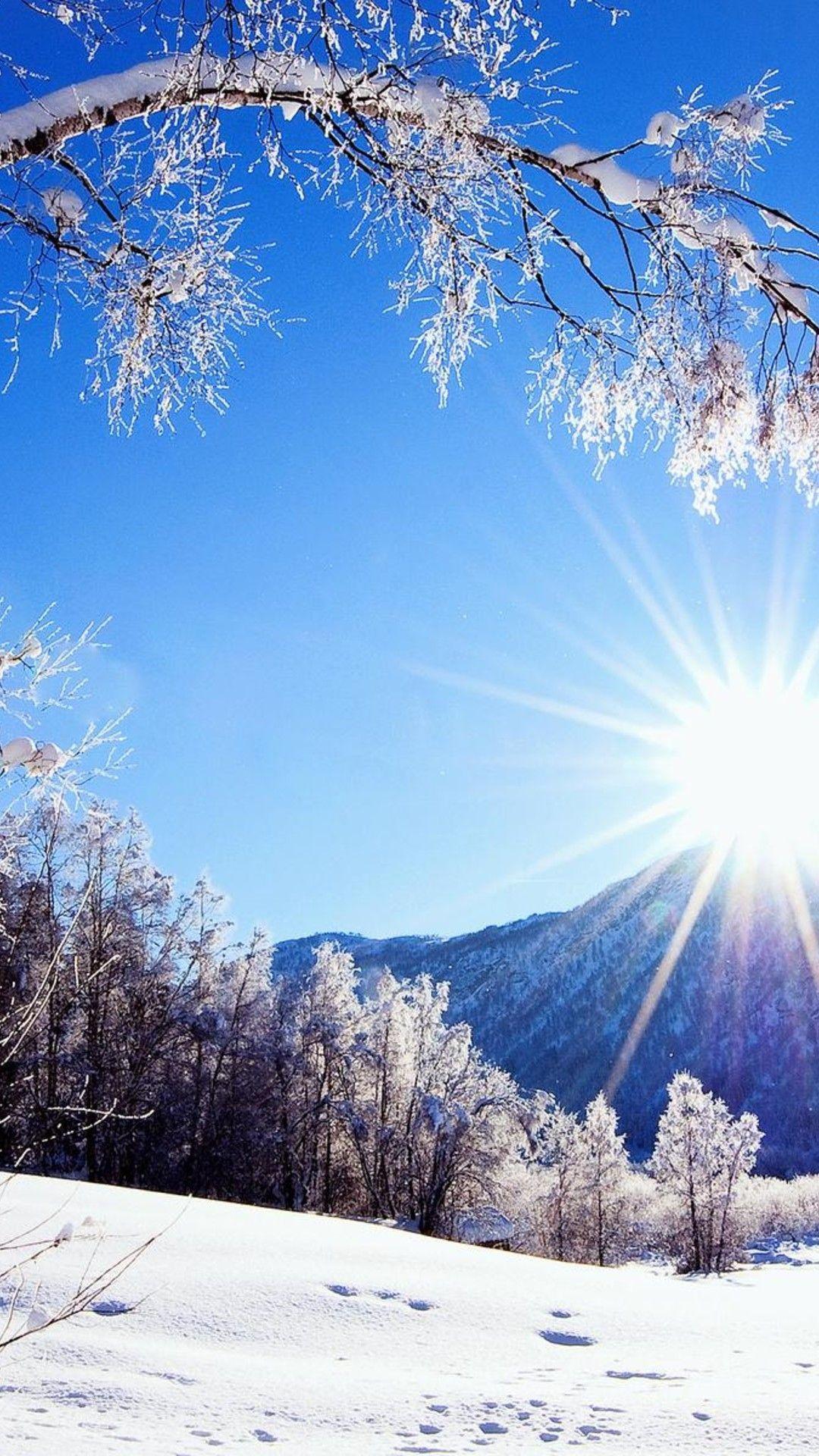 Low Winter Sun Wallpapers