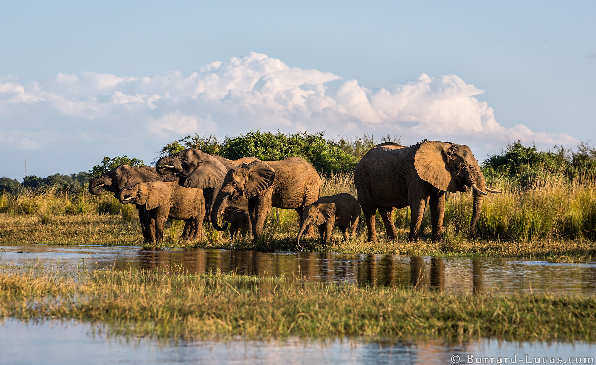 Lower Zambezi National Park Wallpapers