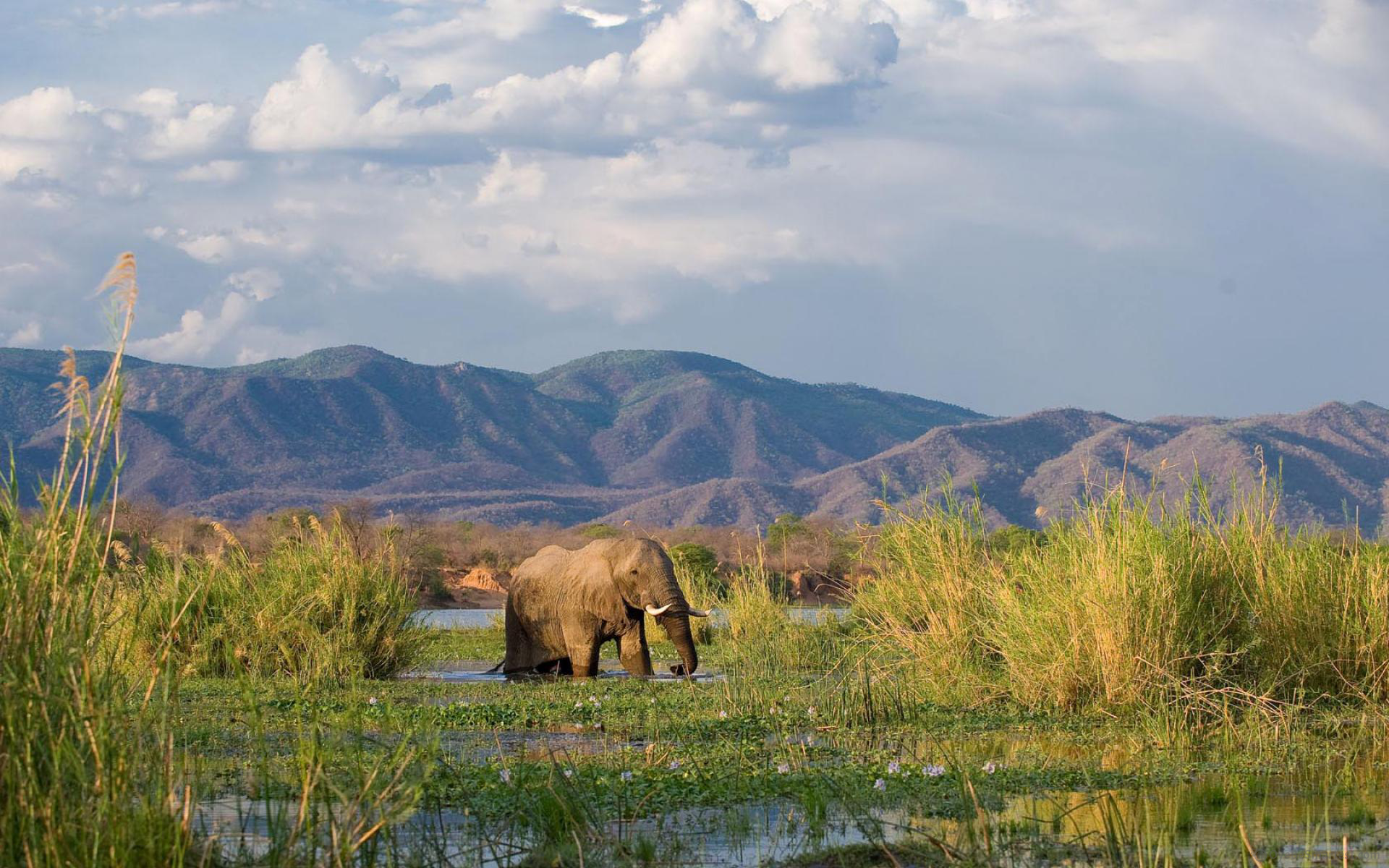 Lower Zambezi National Park Wallpapers