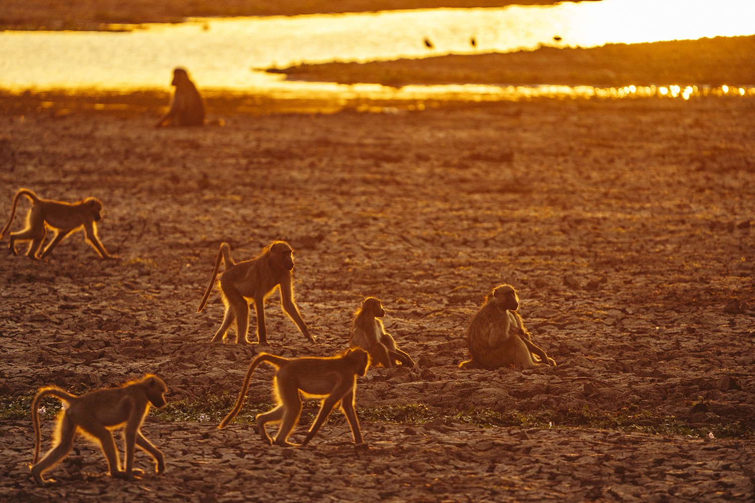 Lower Zambezi National Park Wallpapers