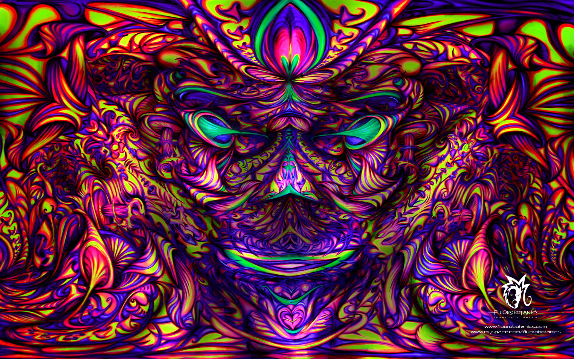 Lsd Cat Pic Wallpapers