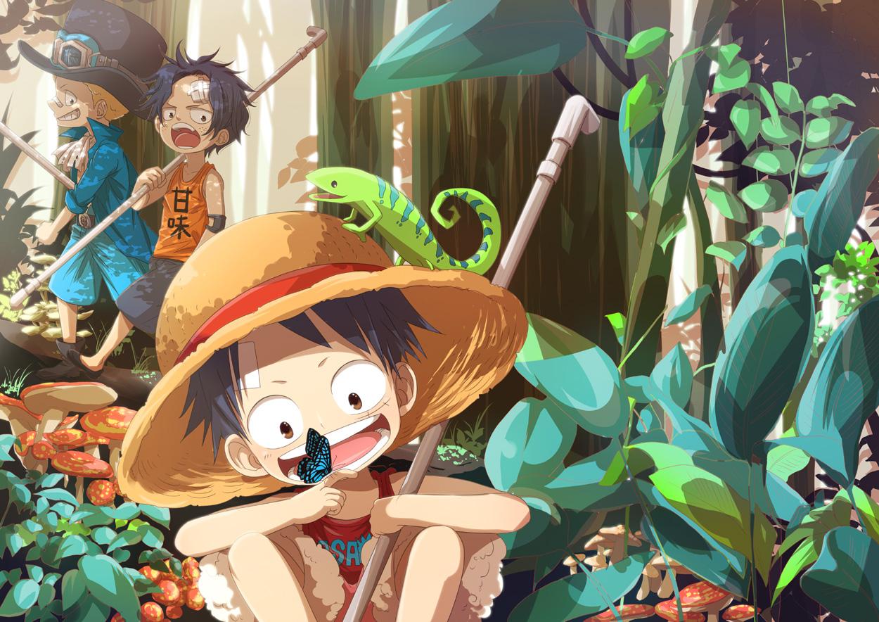 Luffy, Ace And Sabo One Piece Team Wallpapers