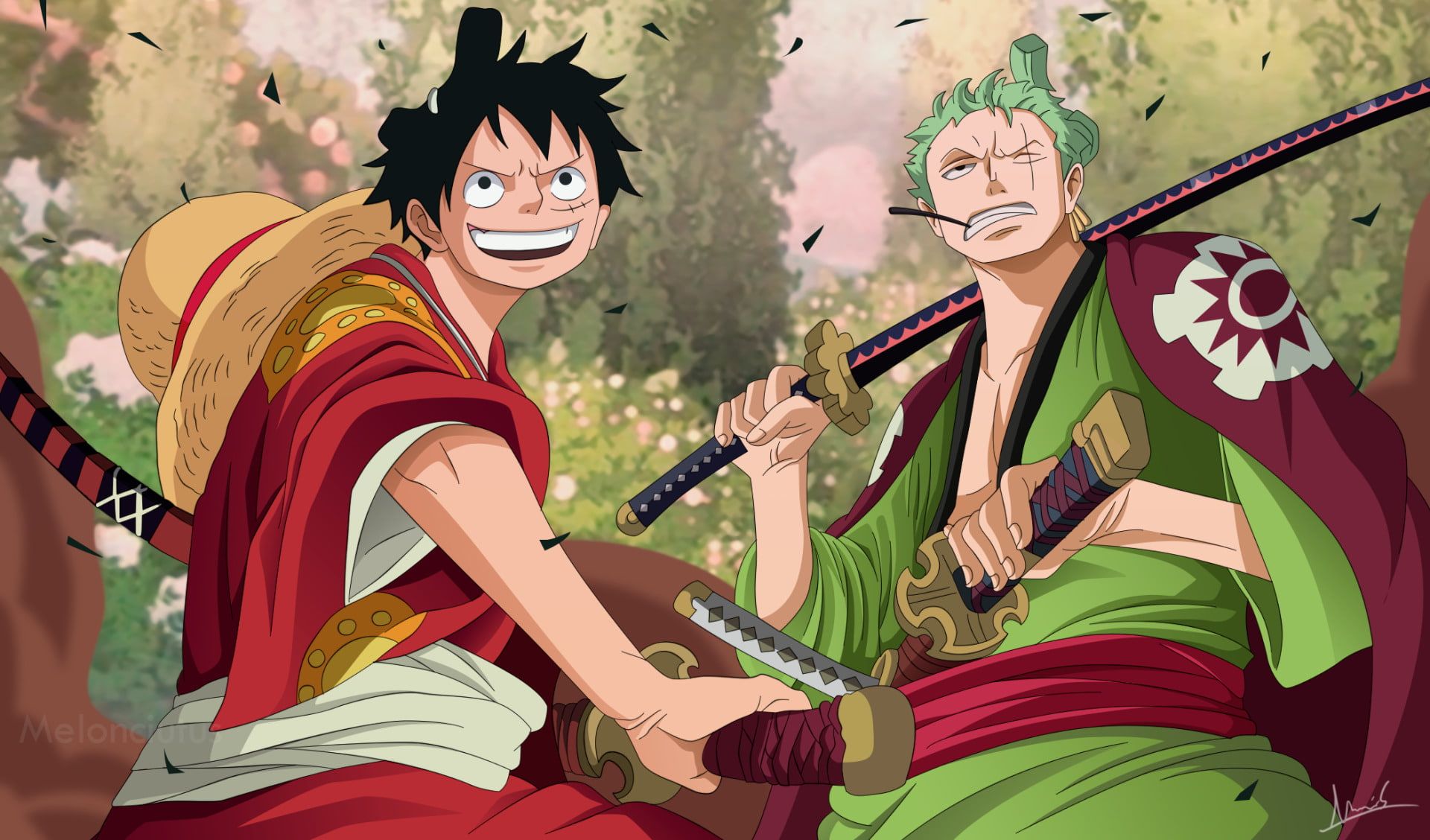 Luffy And Zoro Wallpapers