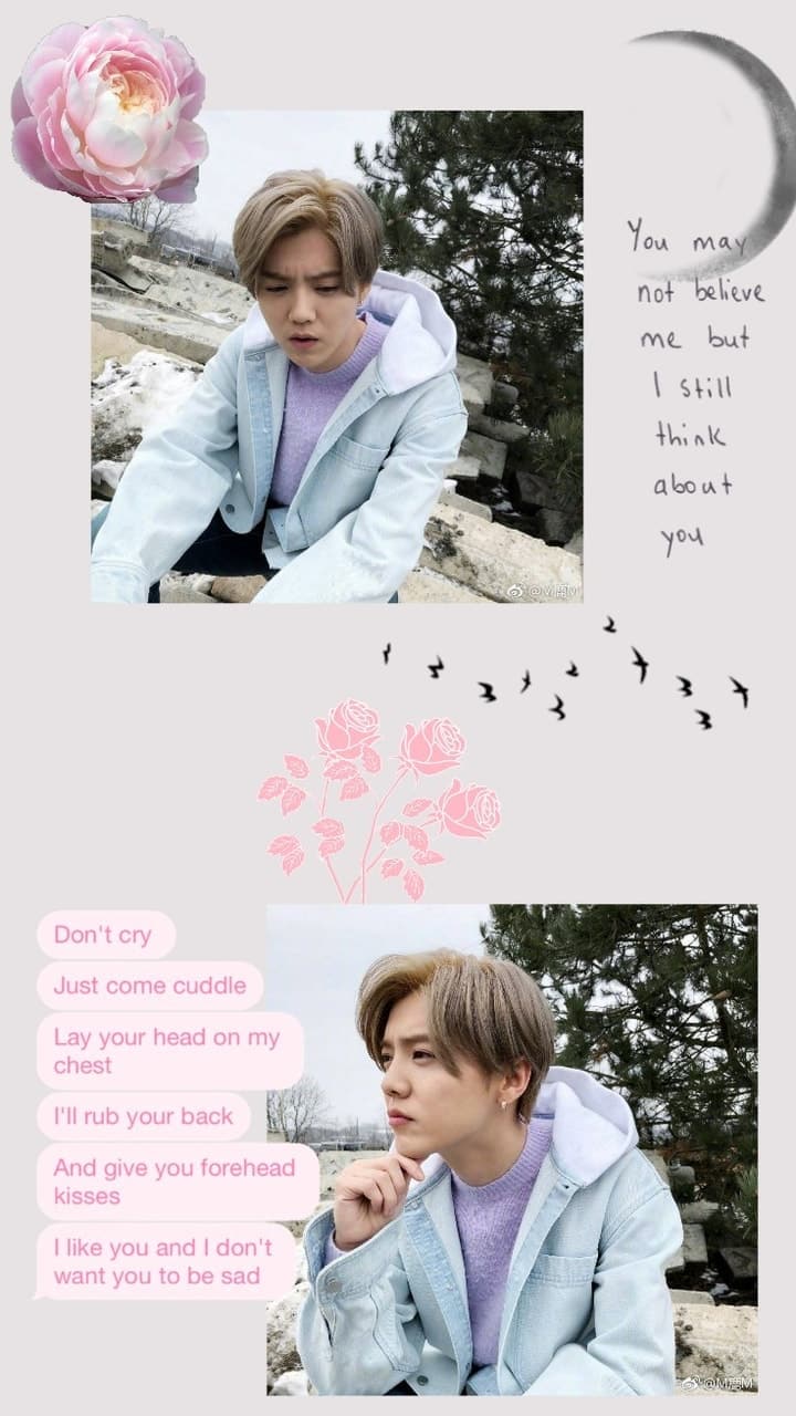 Luhan Aesthetic Wallpapers