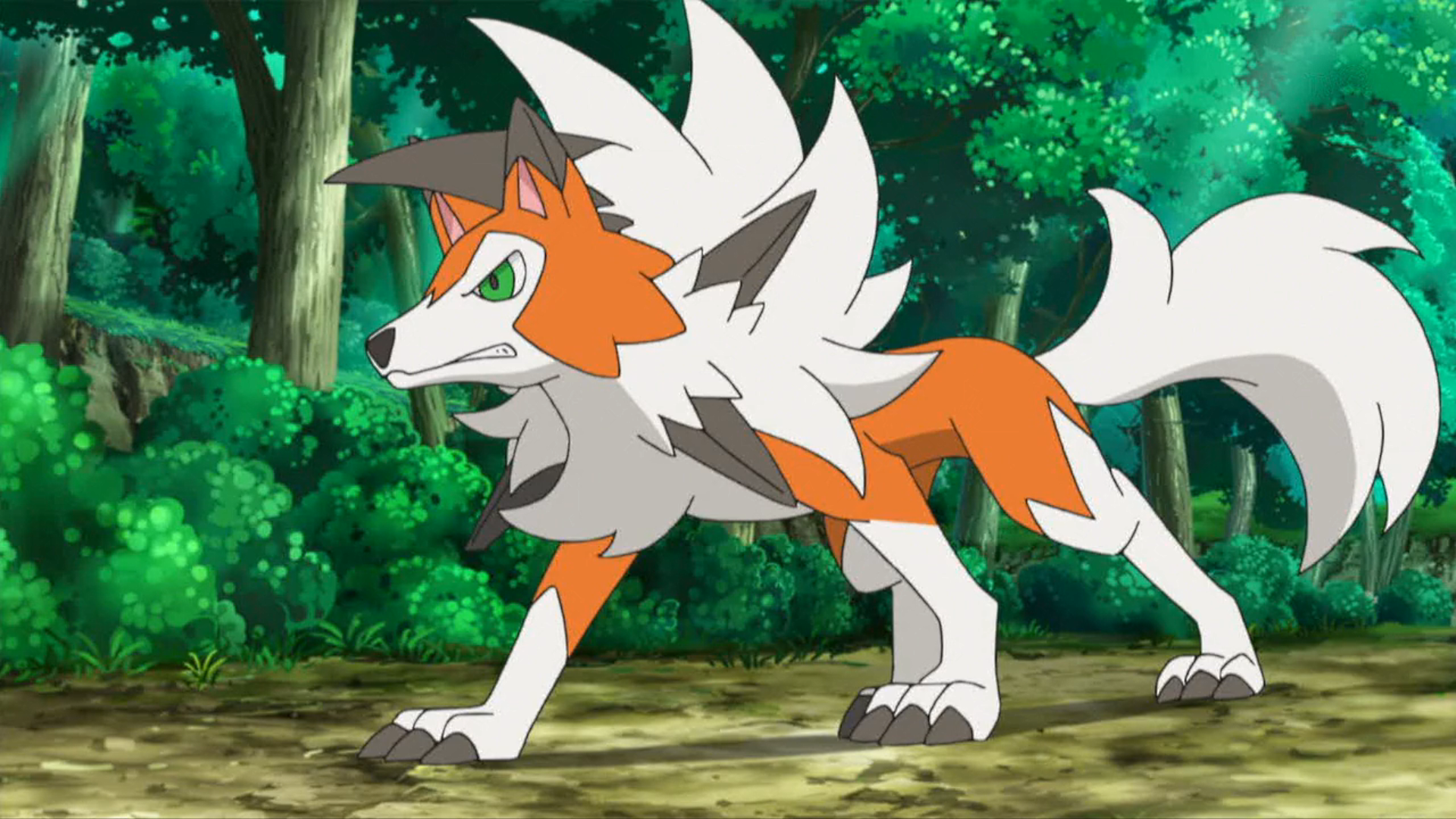 Lycanroc Hd Wallpapers