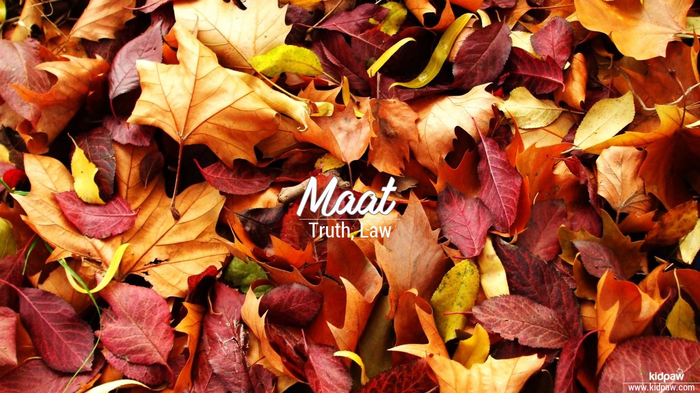 Maat Wallpapers