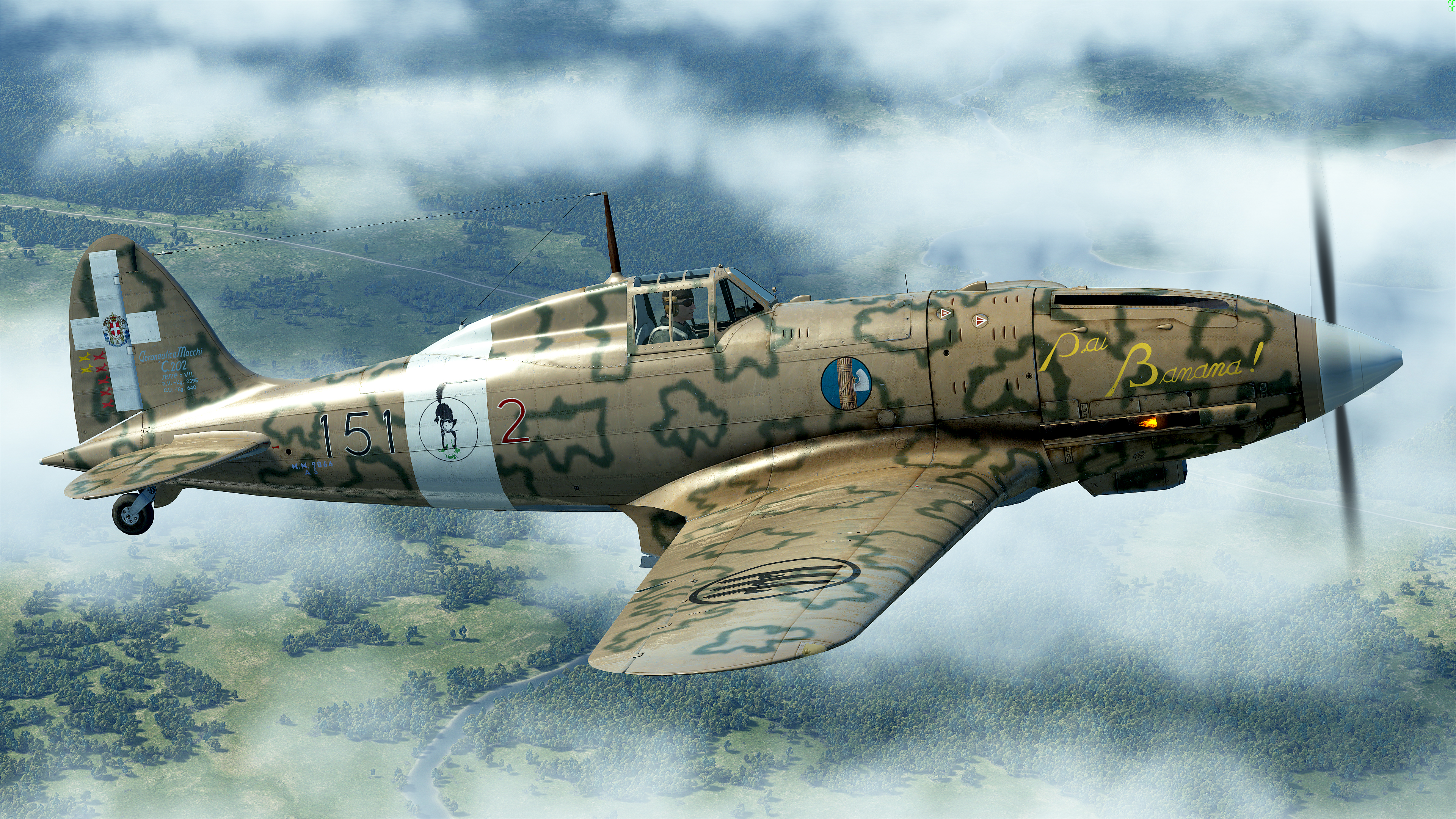 Macchi C.200 Wallpapers